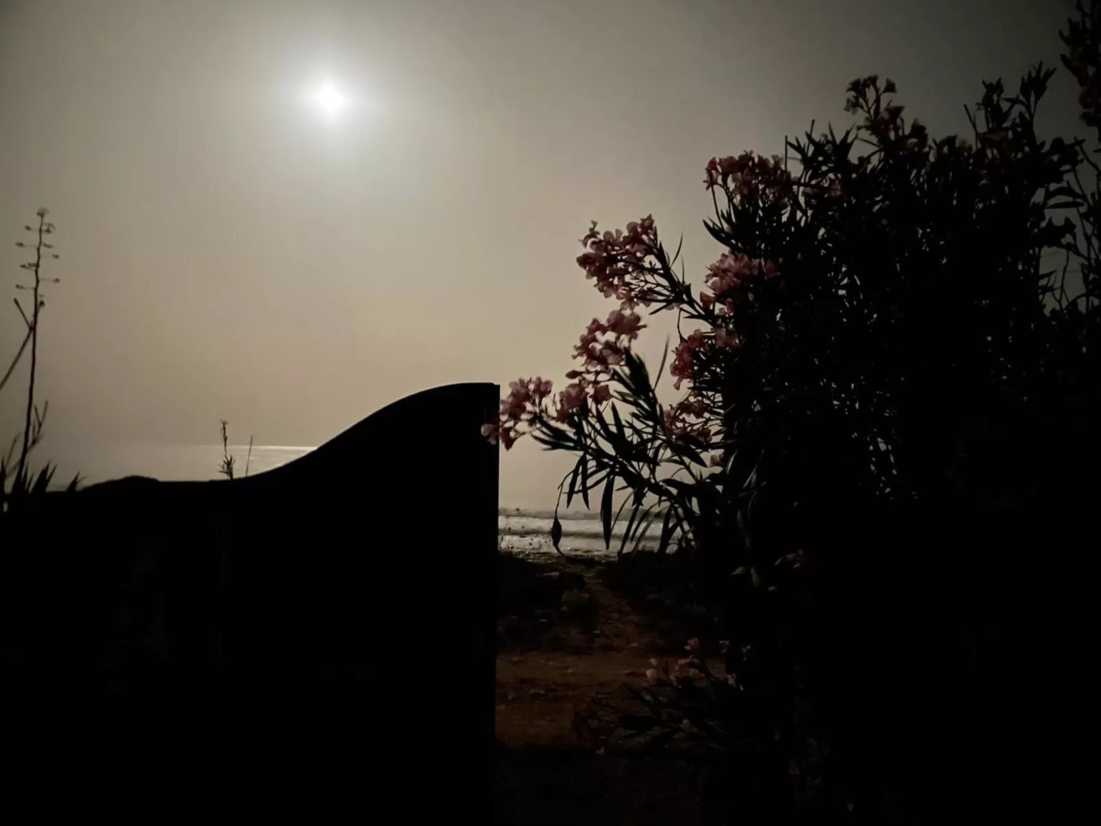 Kleines ruhiges Ferienhaus direkt am Meer-Outside