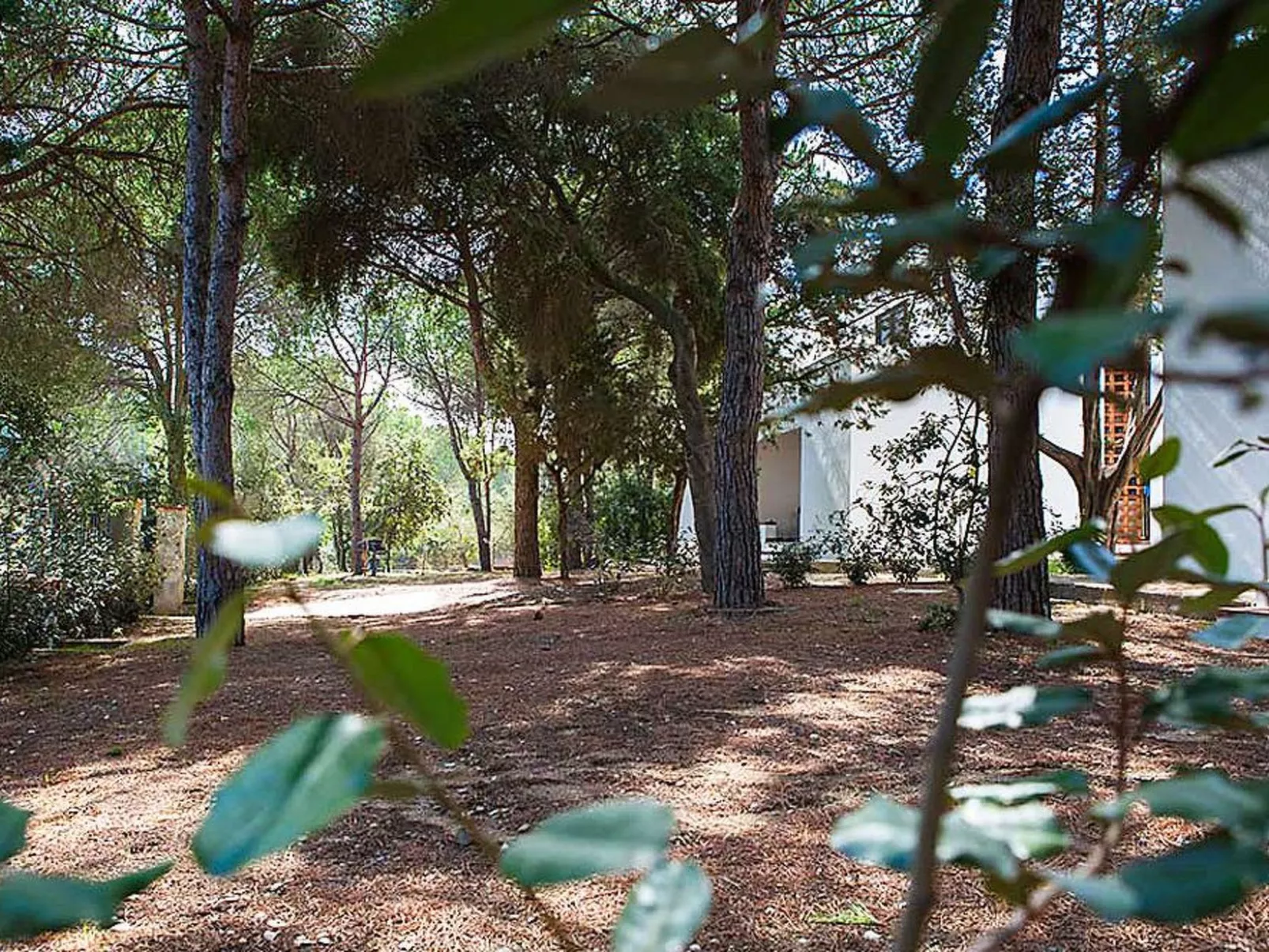 Villa 'Alba 2B' in Strandnähe-Outside