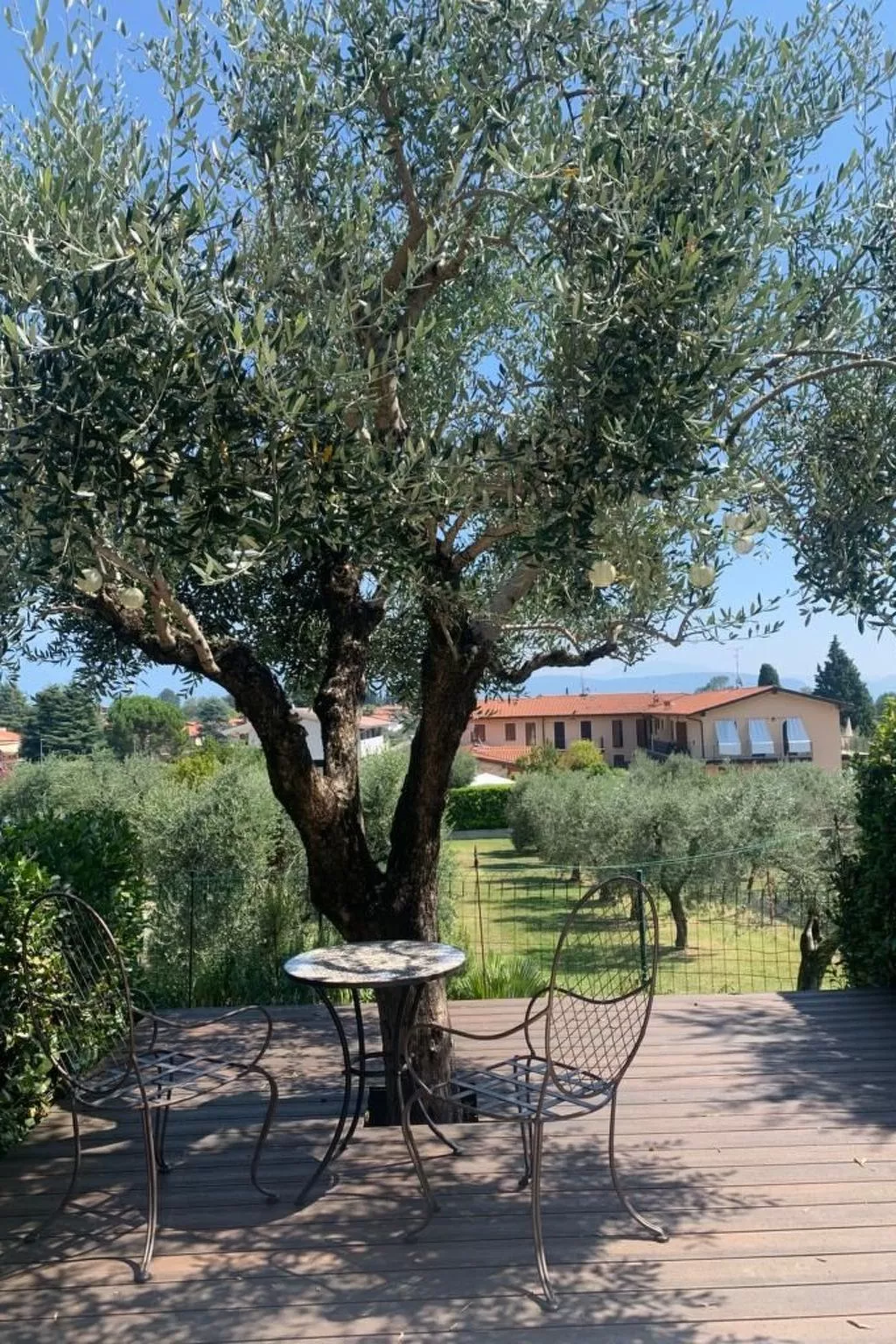 Piccola Perla - Draußen