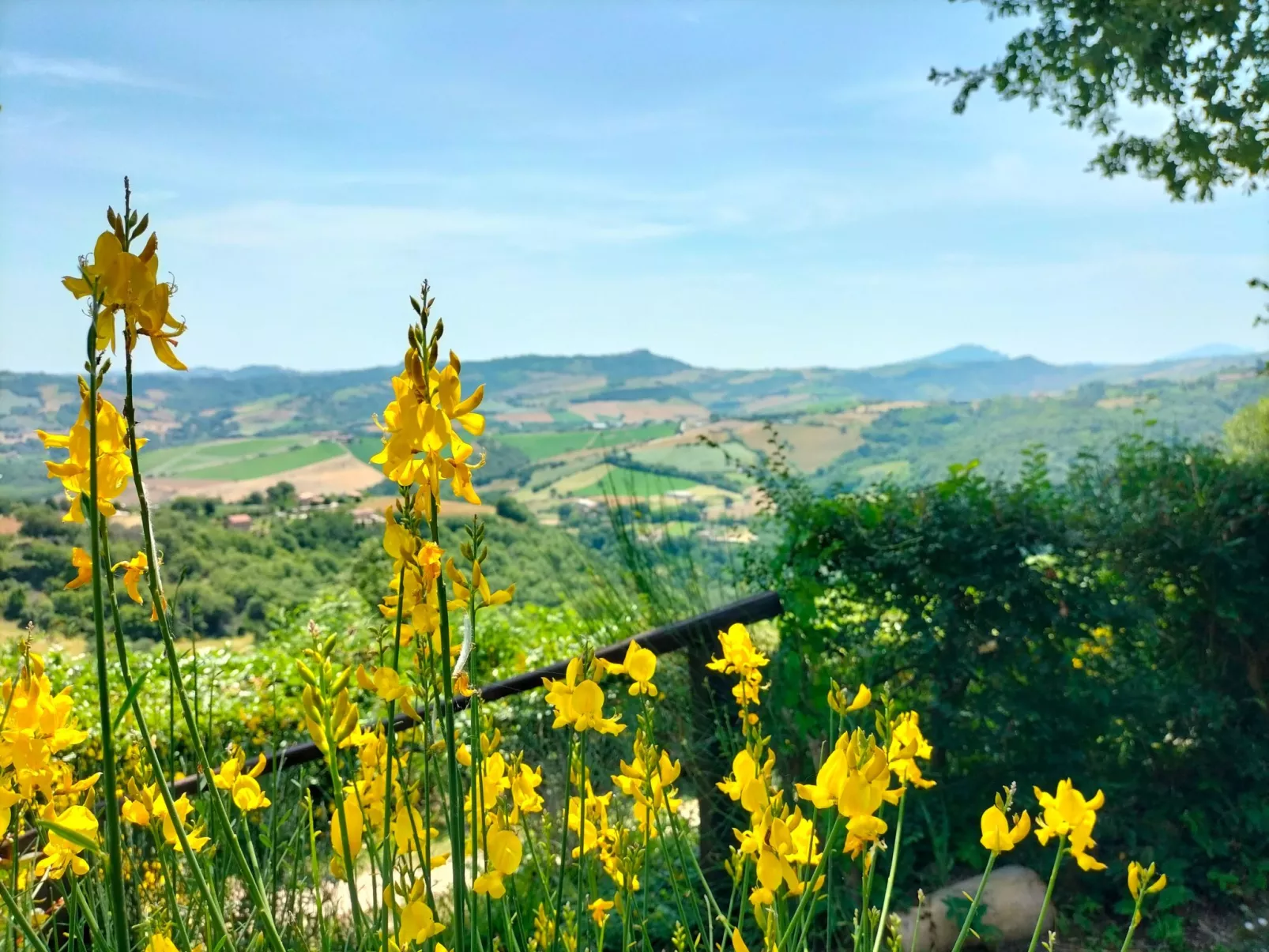 Charmante Wohnung, einzigartiges Panorama-Outside