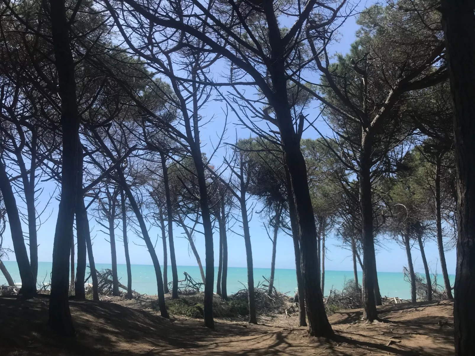 Podere Lo Zolfo-Draußen