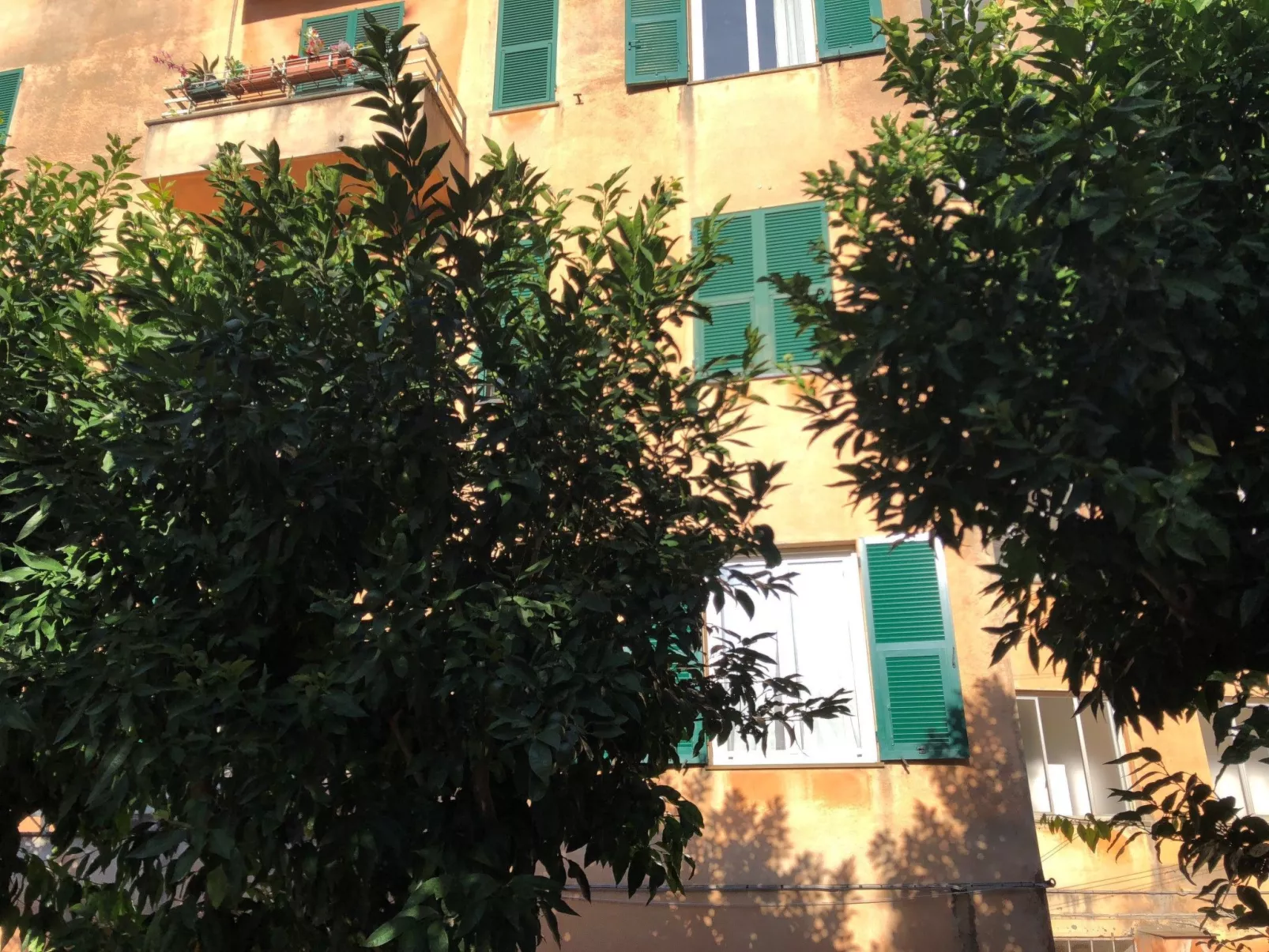 Appartamento "Nervi" mit Wi-Fi-Draußen