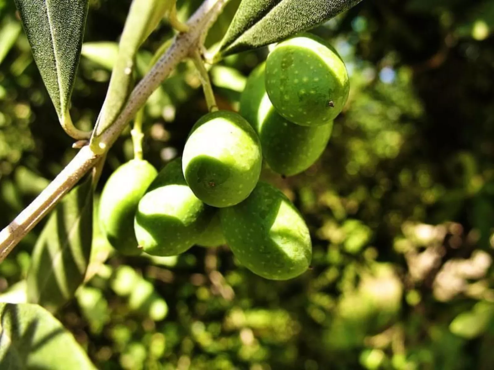 "Appartement für 3 Personen"-Draußen