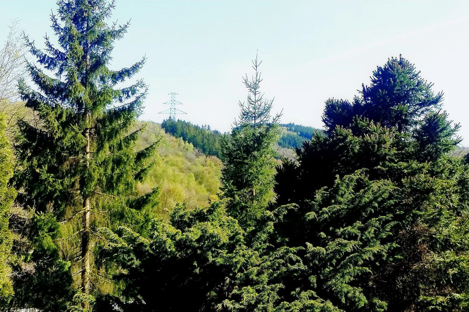 La Bressine-View summer