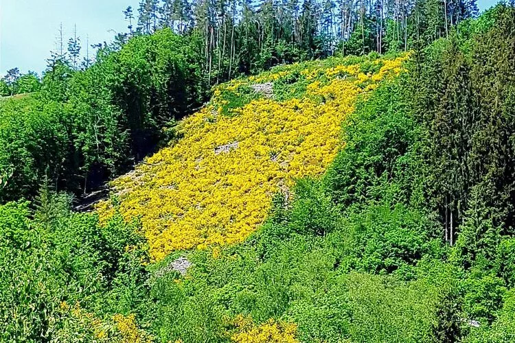 La Bressine-Areas summer 1km
