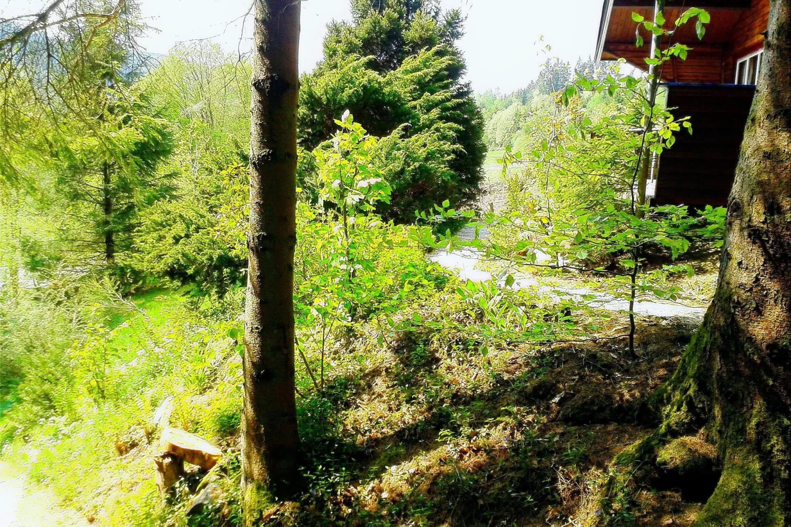 La Bressine-Areas summer 5km
