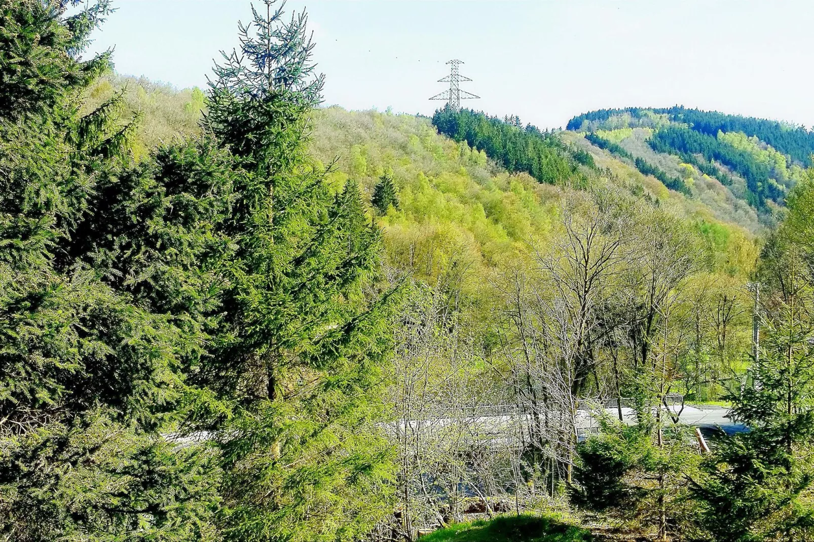 La Bressine-Areas summer 5km