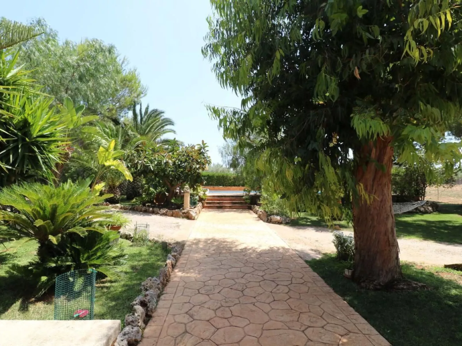 Fi. Camaron-Crestall-Dehors