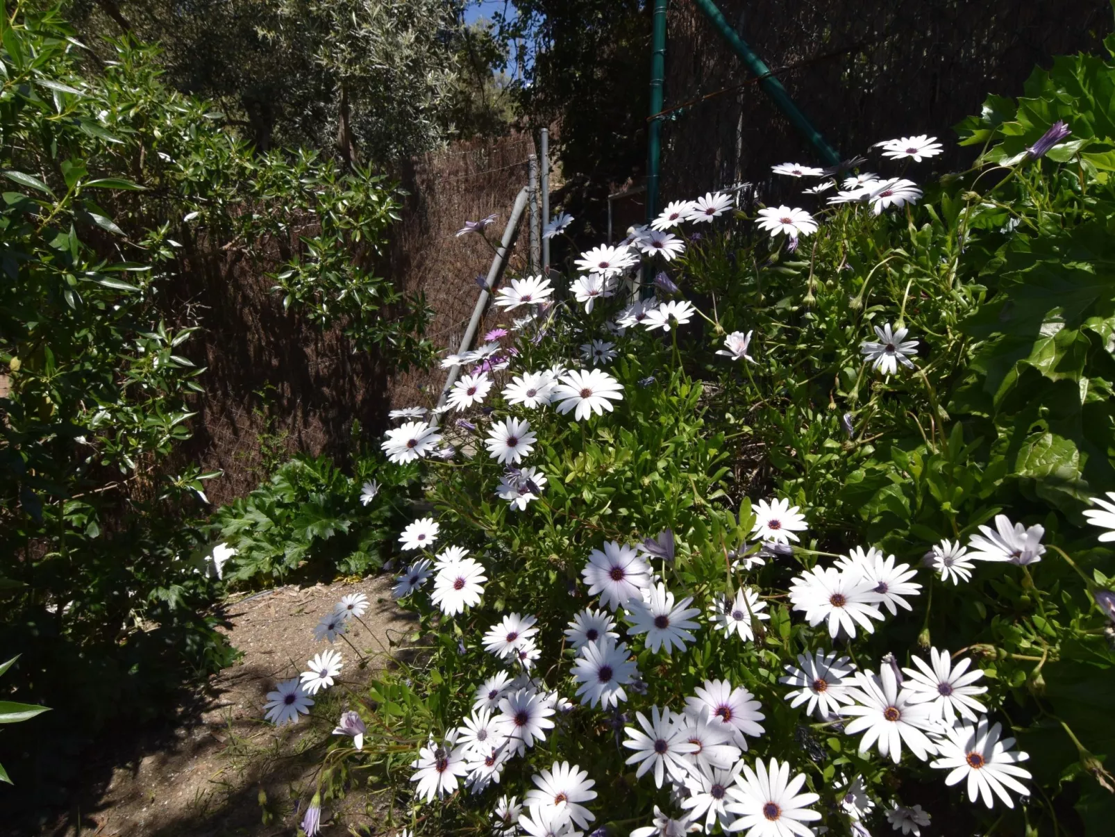 Finca El Corinto - Ein verwunschener Ort-Dehors