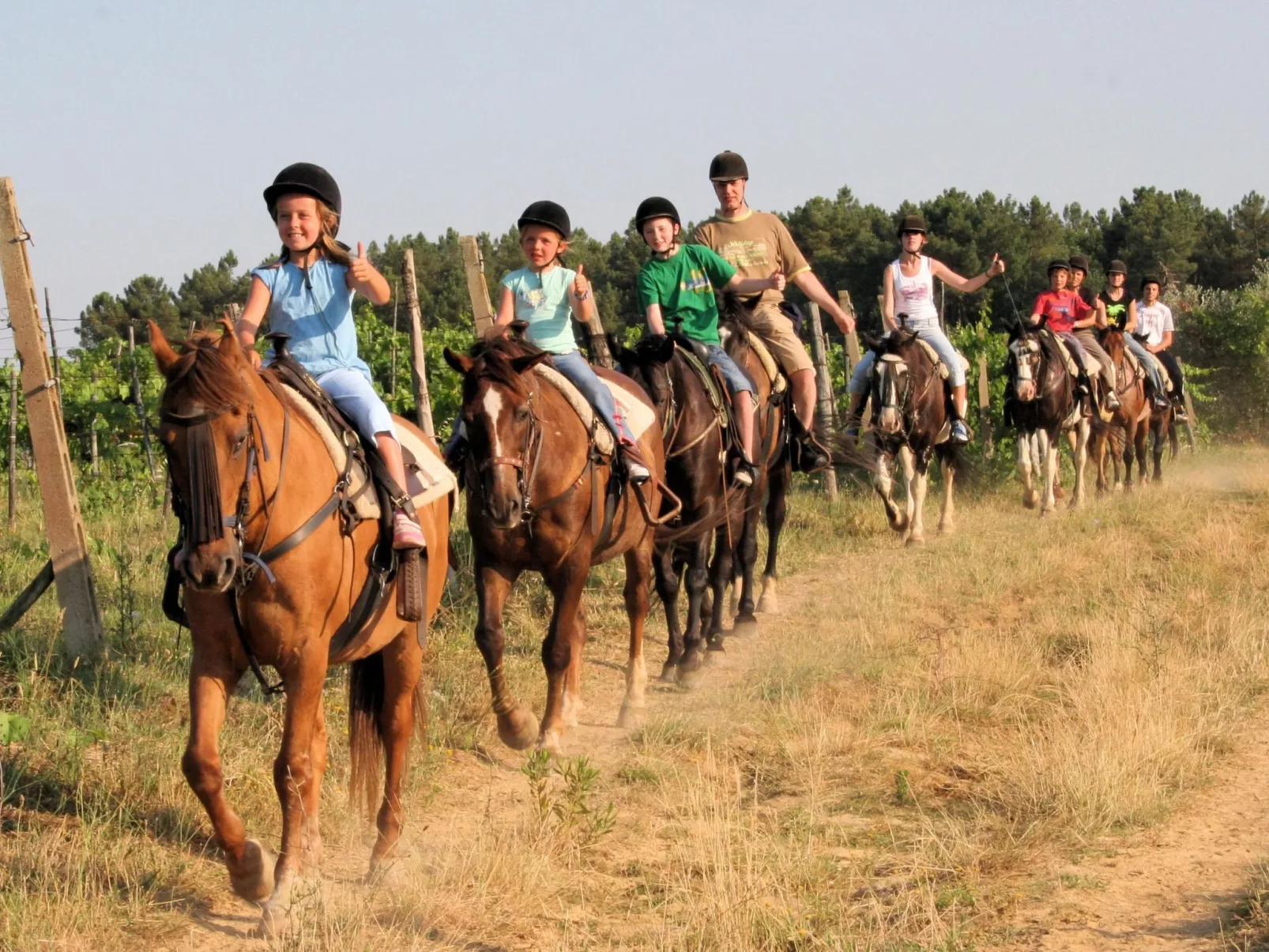 Apartment Rosa Canina (Wilde Rose)-Outside
