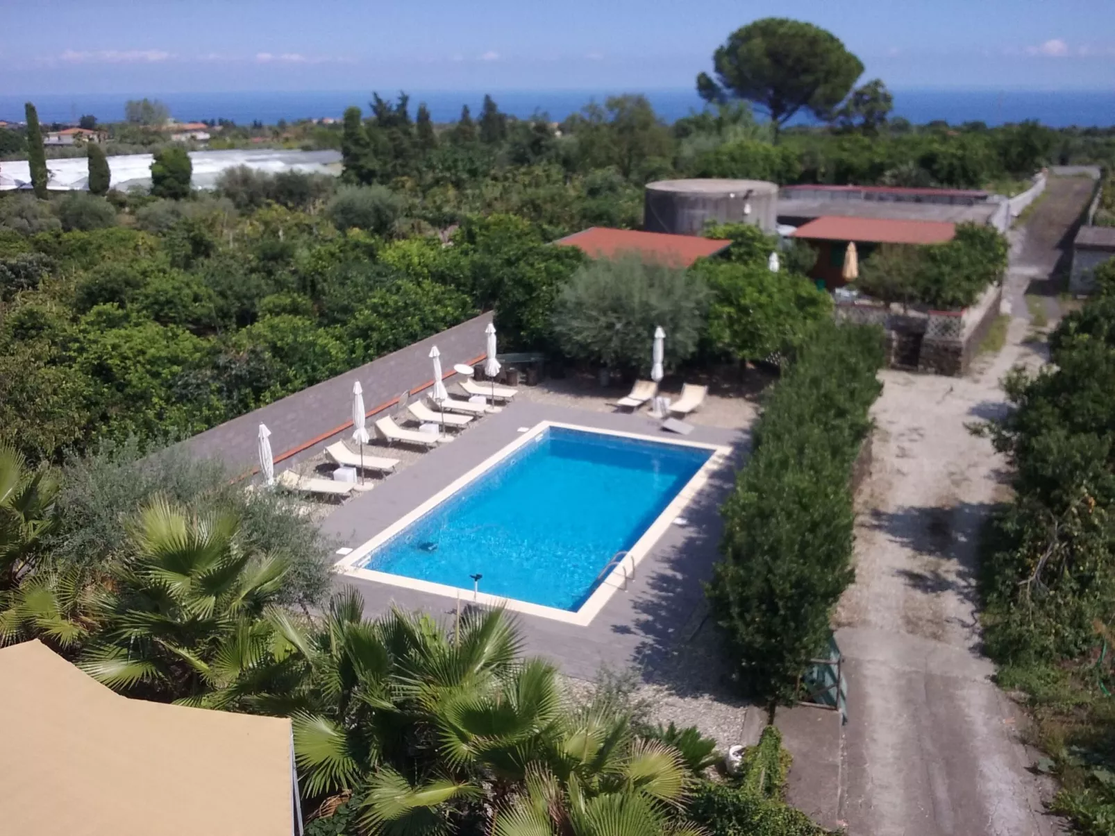 Le Palme in linera-Draußen