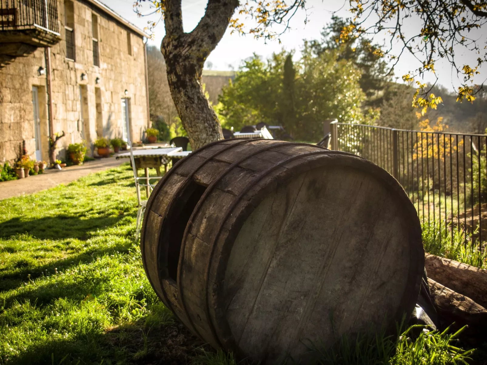 Mit Wasserblick-Image-tags.info