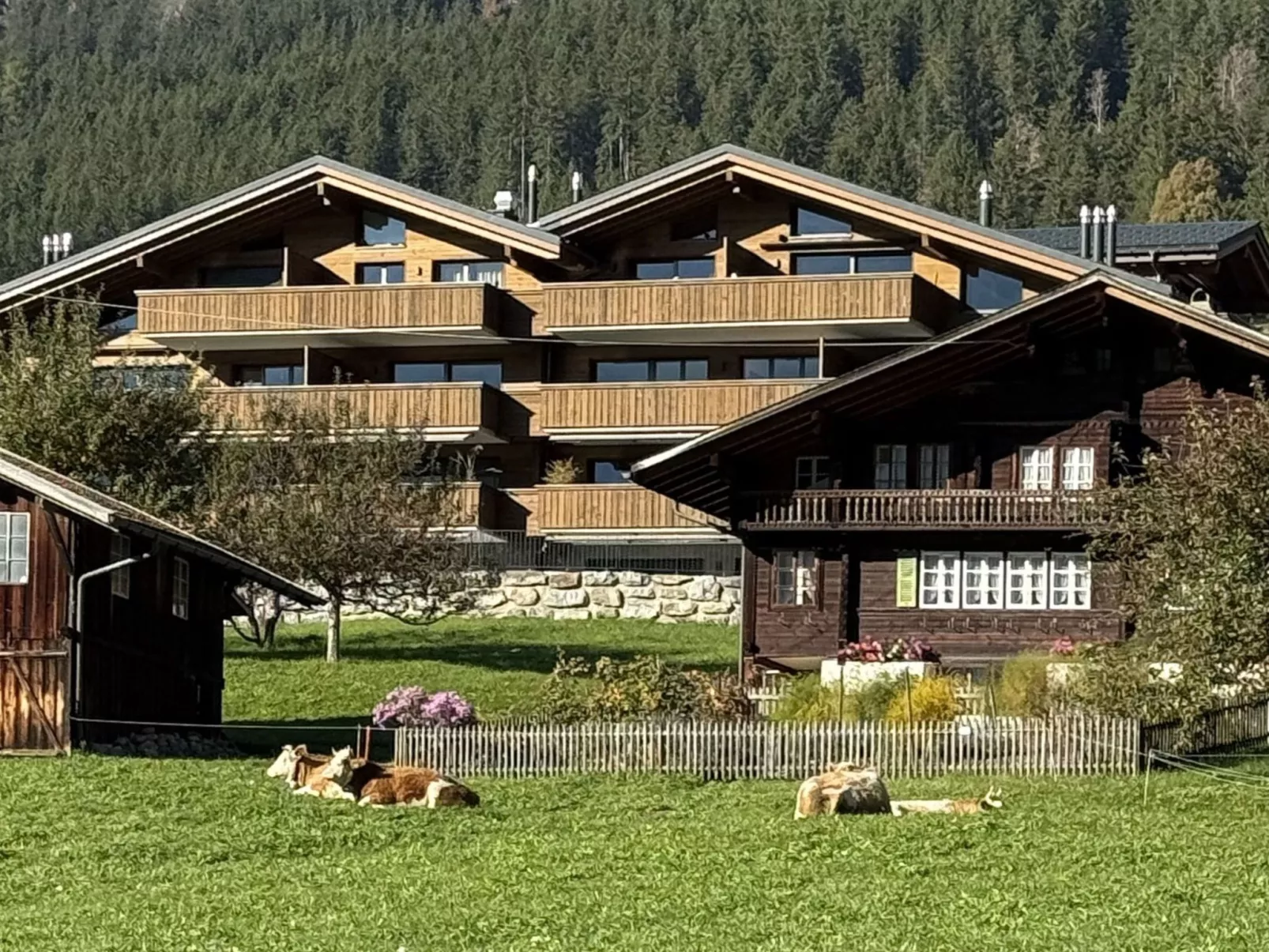 Apartment Wega-Draußen