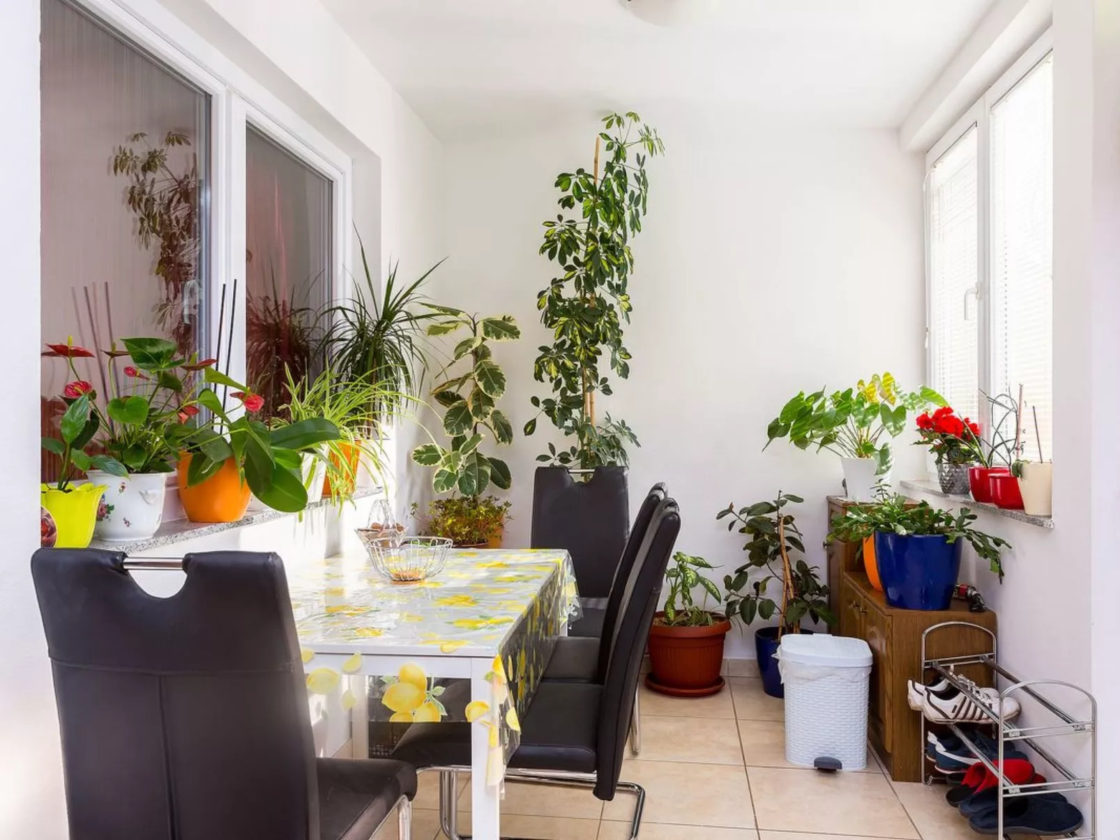 Für 4 Personen ca. 46 m&sup2; in Medulin, Istrien (Medulin und Umgebung)-Image-tags.info