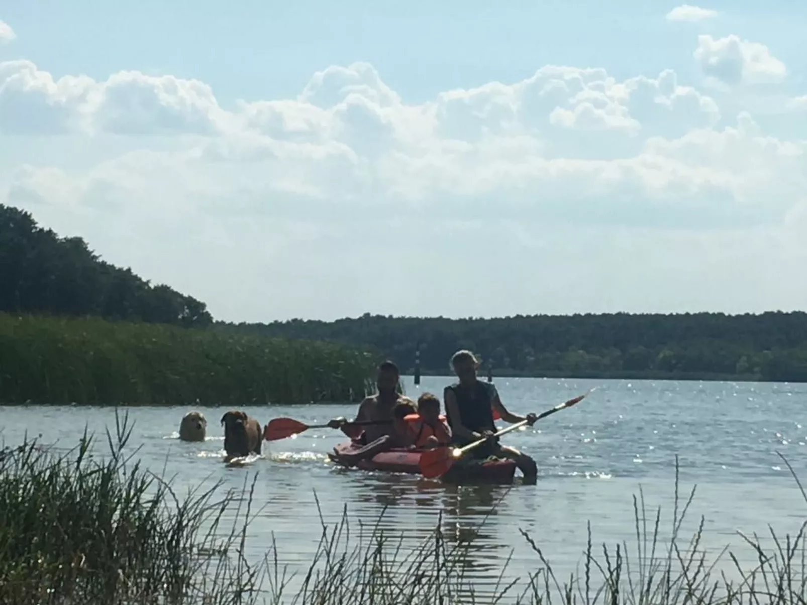 In Linum mit Garten, Terrasse und Grill-Image-tags.info