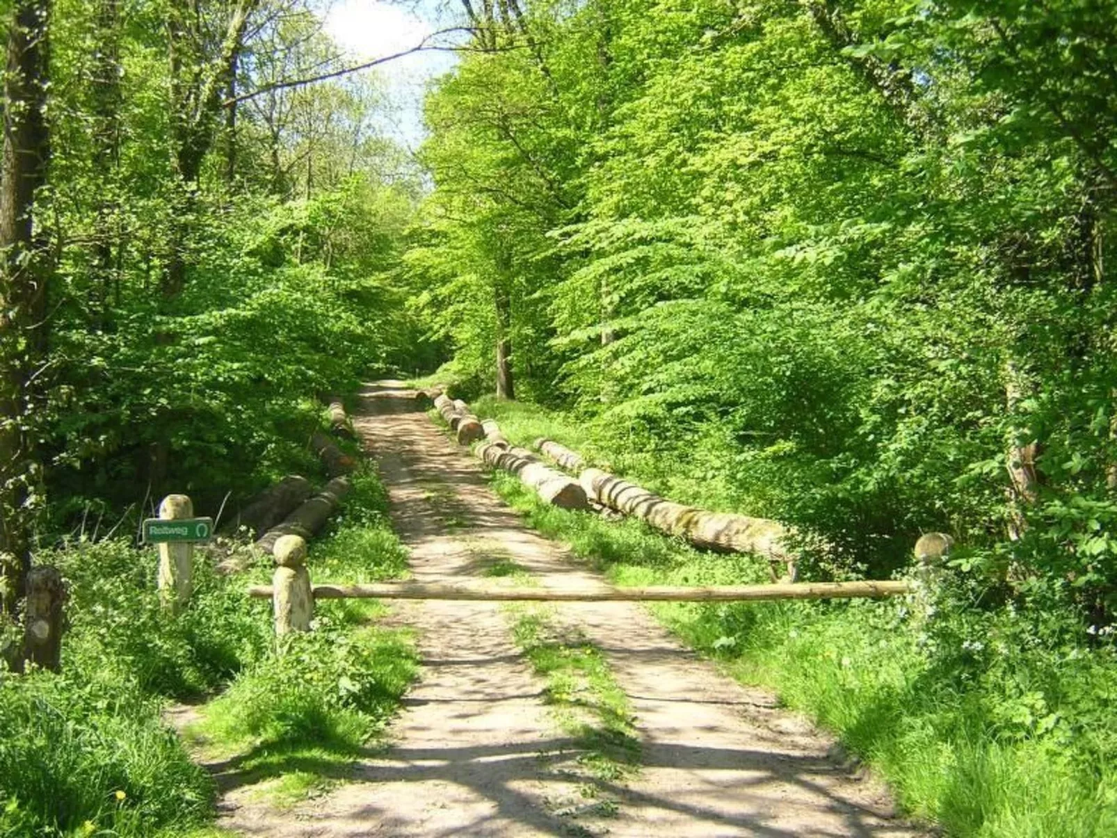 Ambiente-Image-tags.info