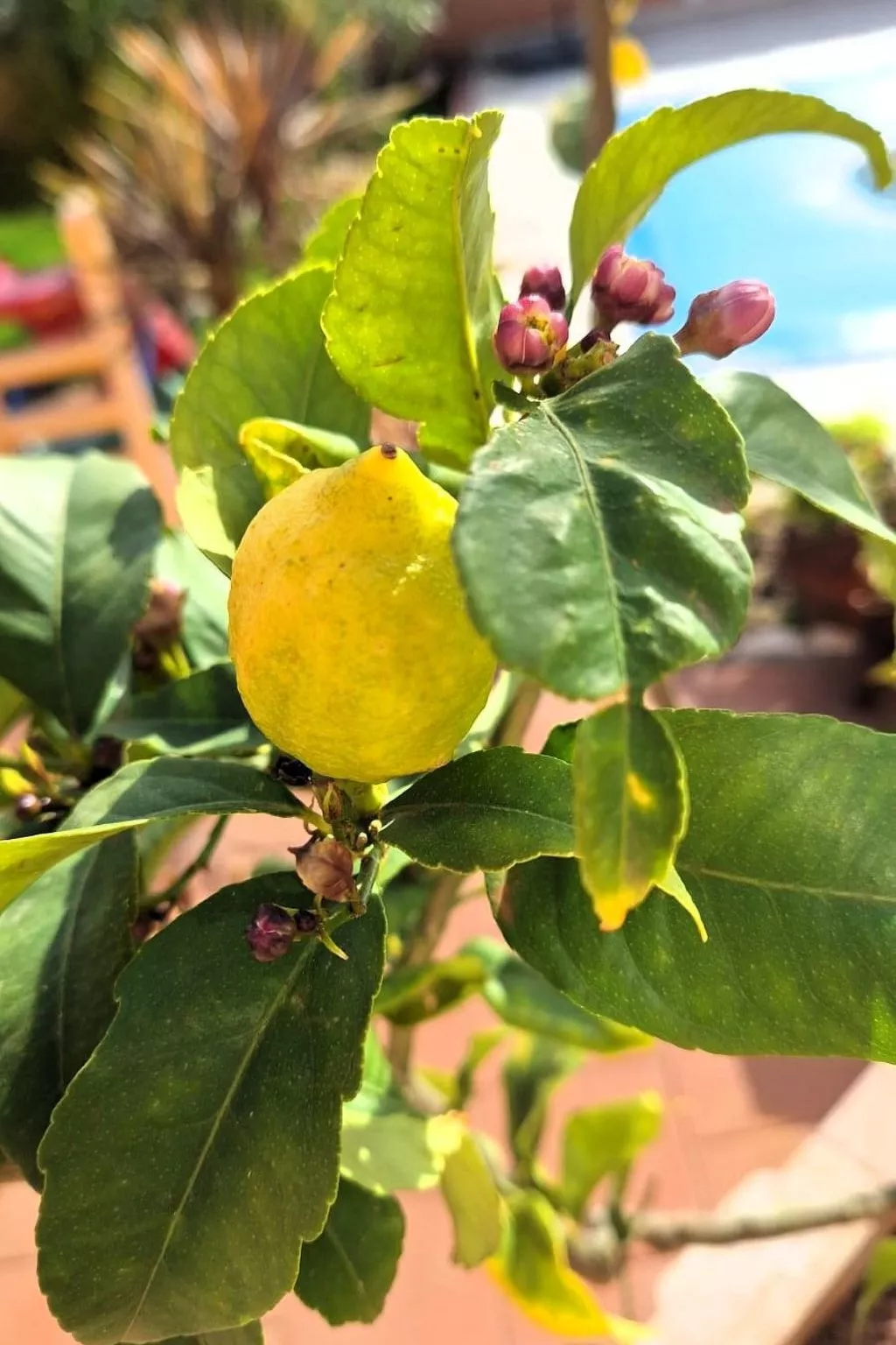 Mit Pool in Istrien-Dehors