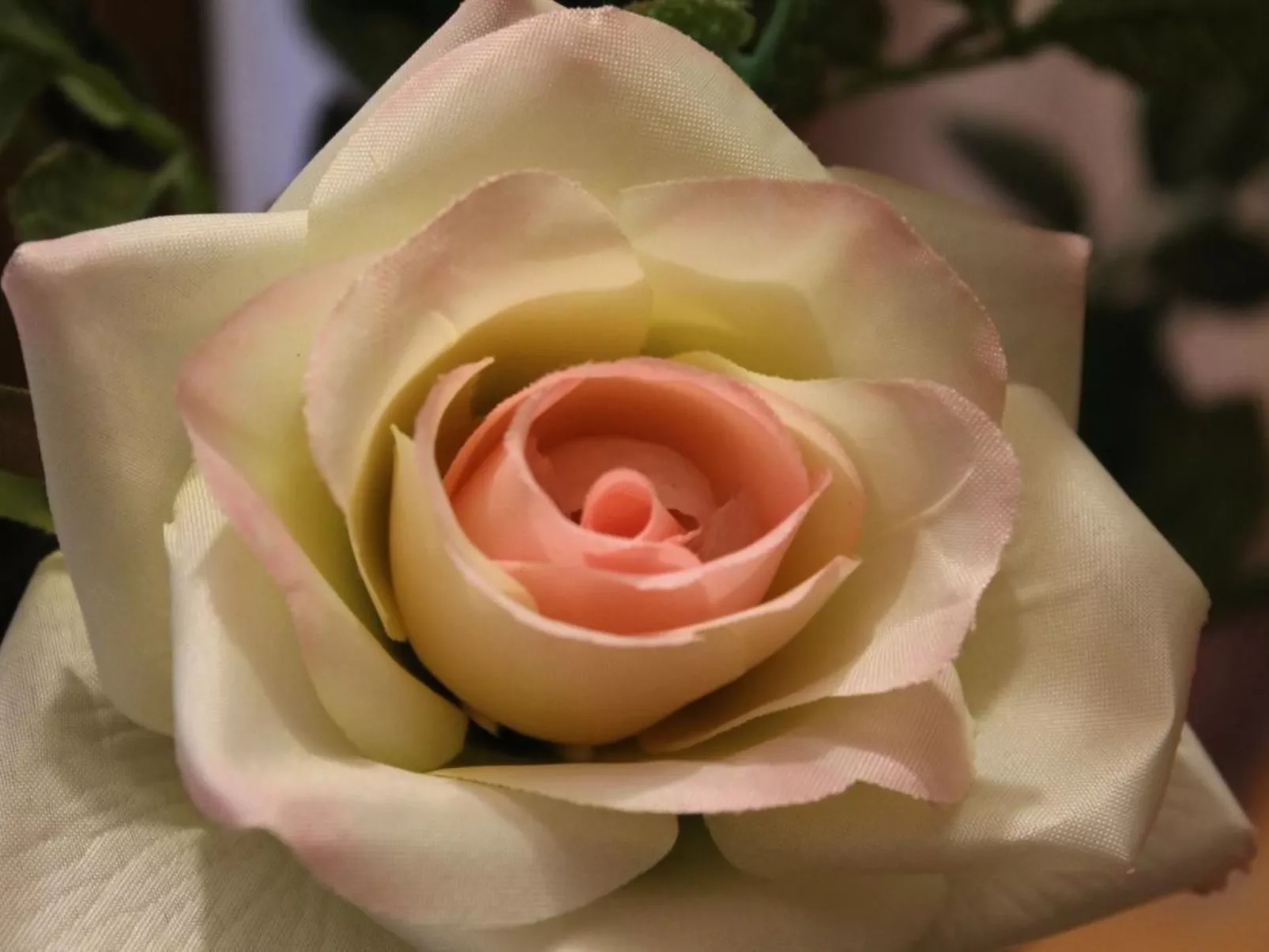 Chesa Centrela-Drinnen