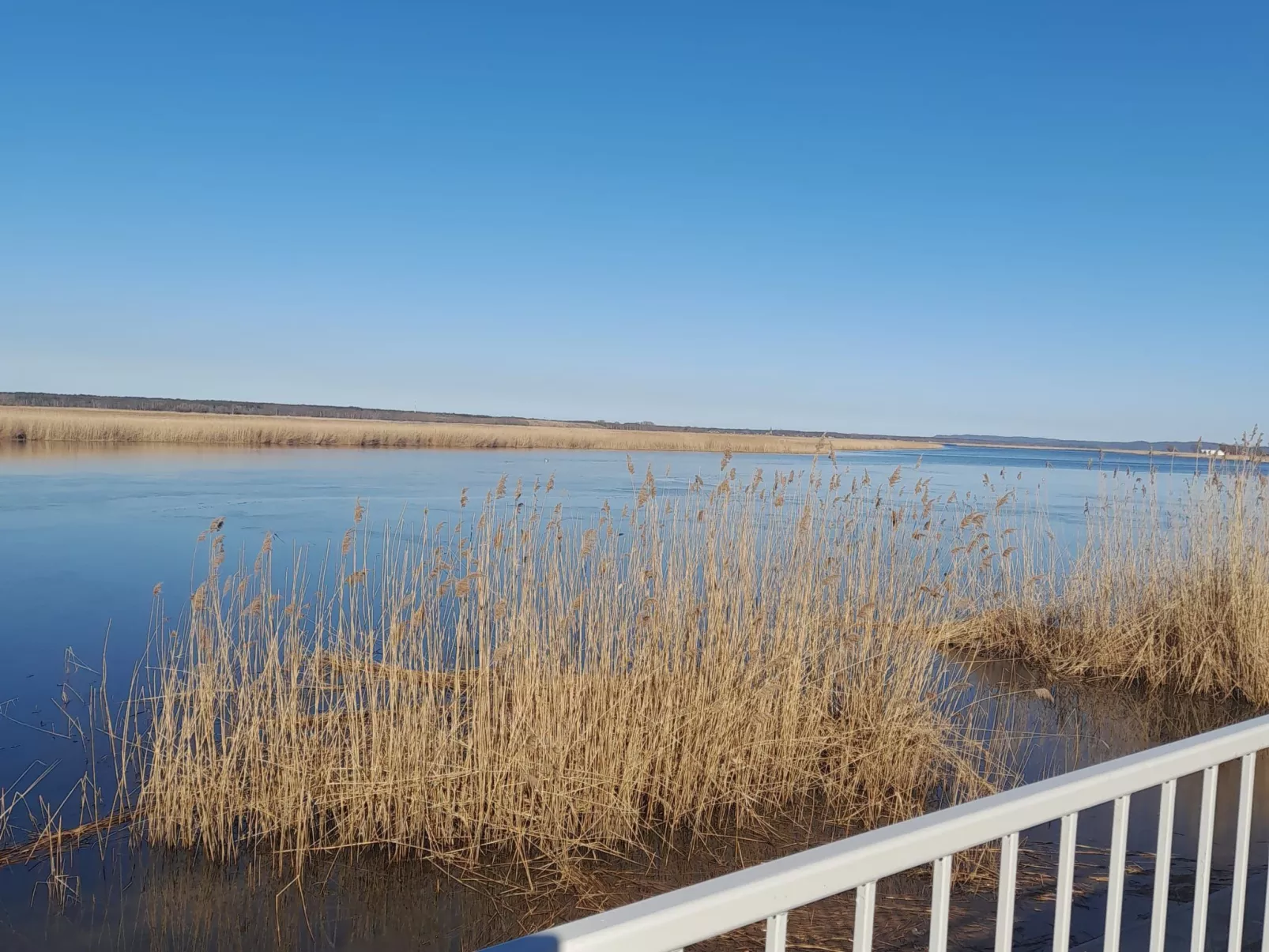 Haus in Karsibór mit Grill, Terrasse und Garten-Draußen