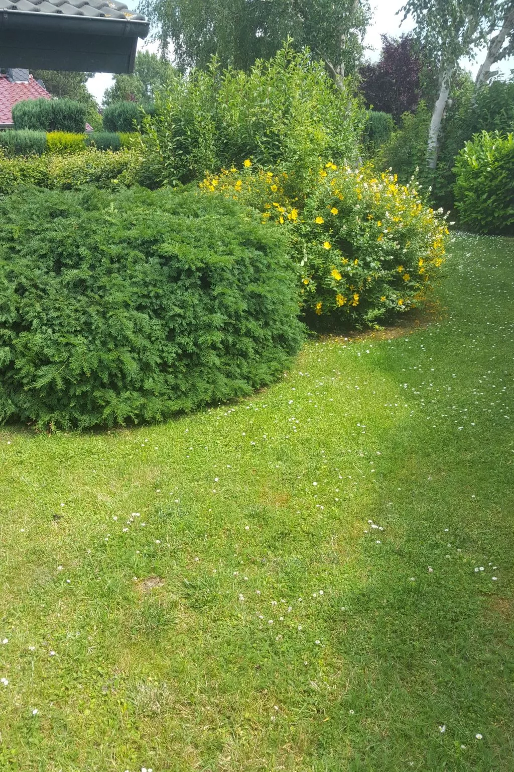 Ferienhuus Tossens-Dehors