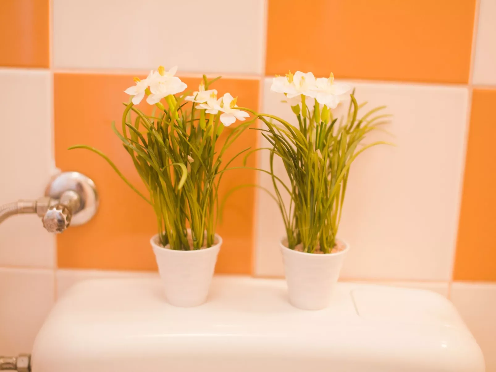 "Mango" direkt am Strand-Inside