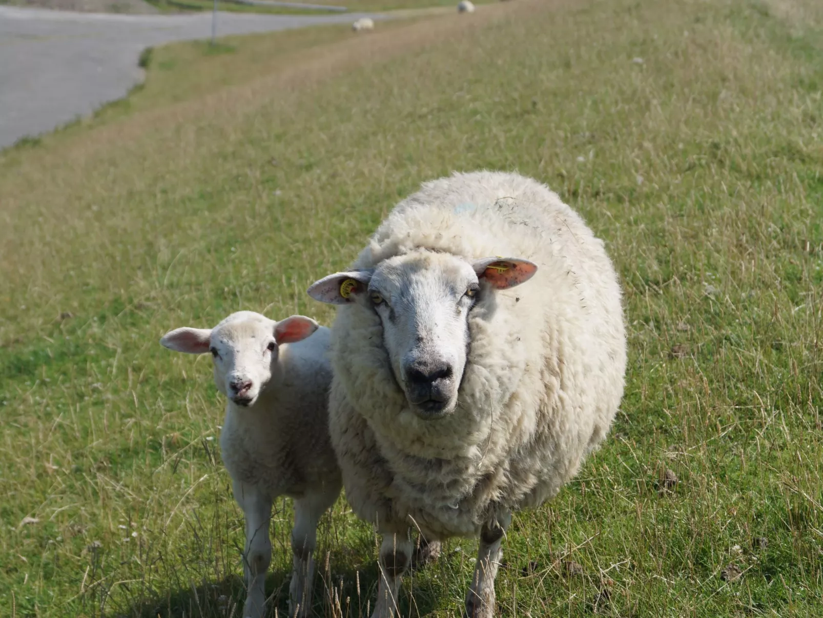 Appartement in Meldorf mit Garten-Outside