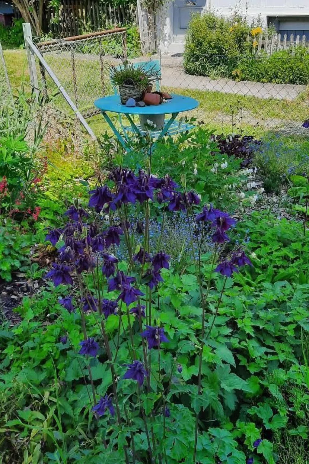 Haus Usziit - Zeit die Seele baumeln zu lassen-Dehors