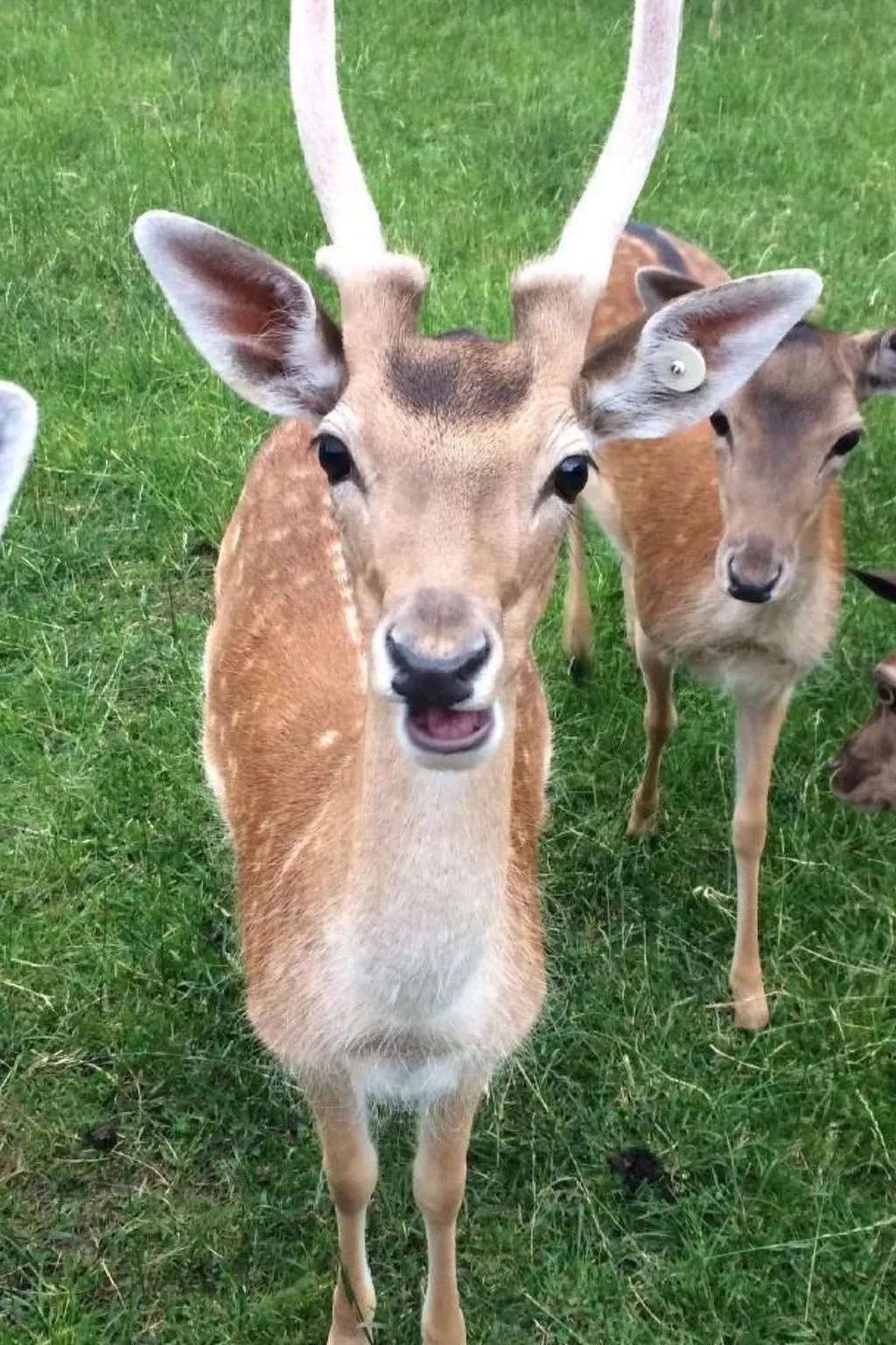 Bauernhof Sal-Image-tags.info