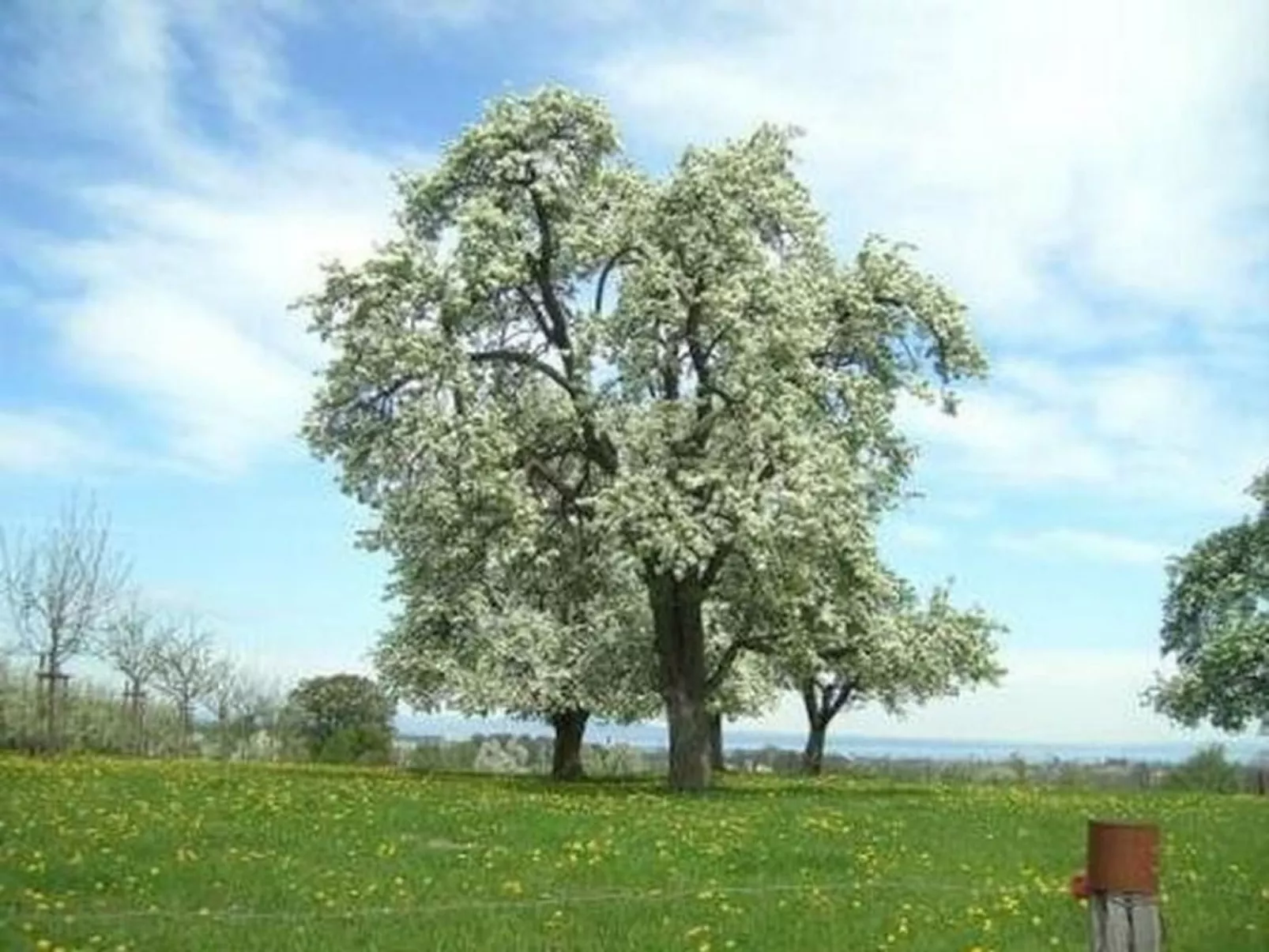Biohof-Enderlin-Draußen