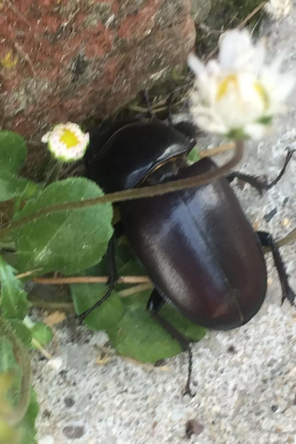 Ländlicher Tourismus-Image-tags.info