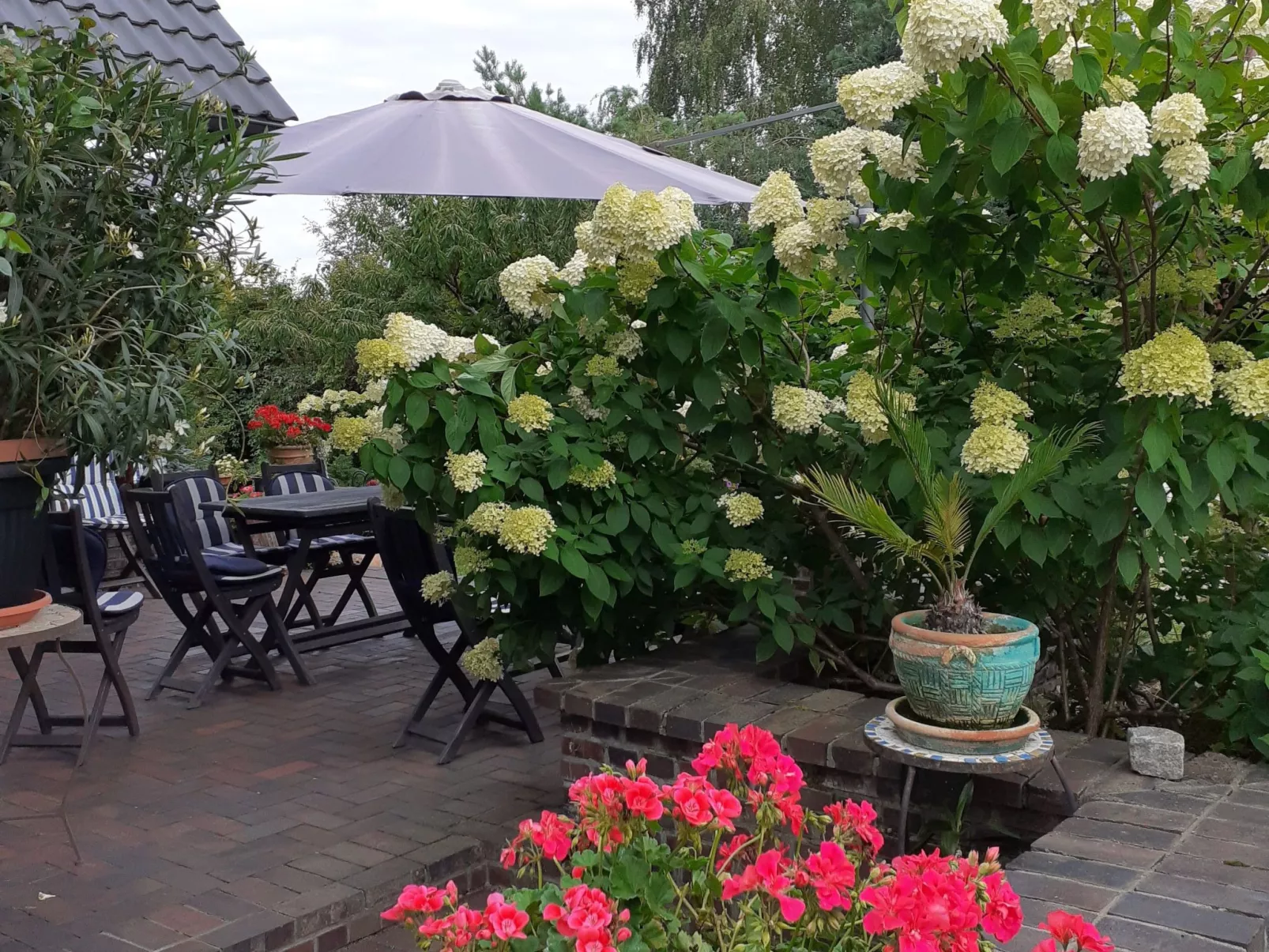 Apartment Royal - Image-tags.info