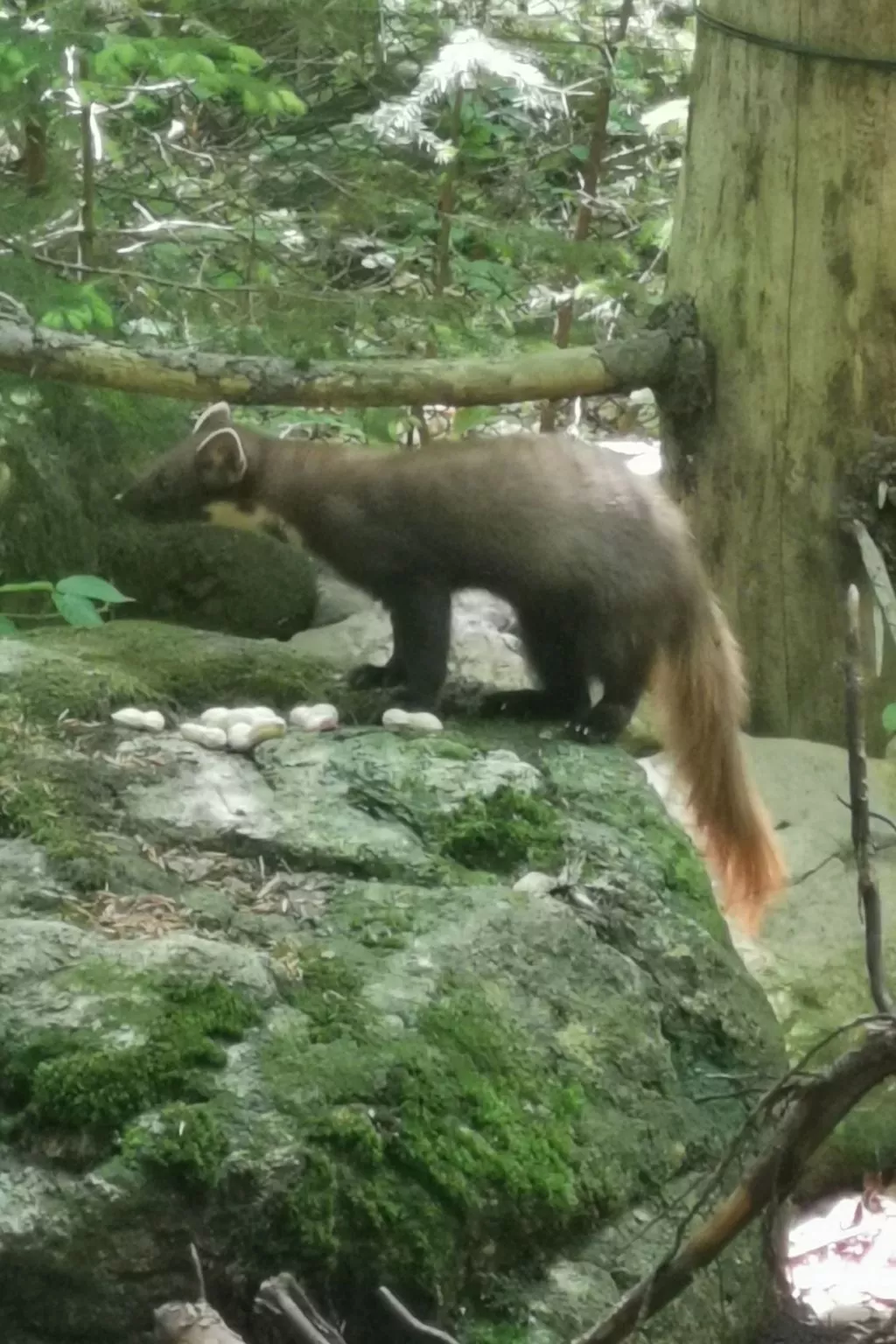 AnNo Wohlfühlen Bach-Outside