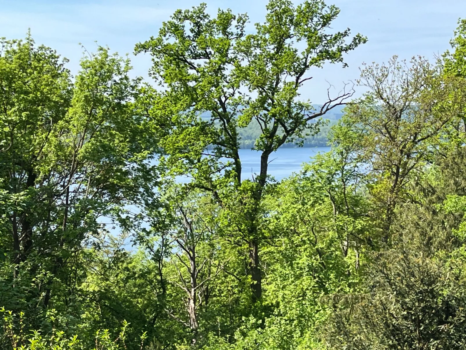 Schlossblick mit Teilseeblick-Image-tags.info