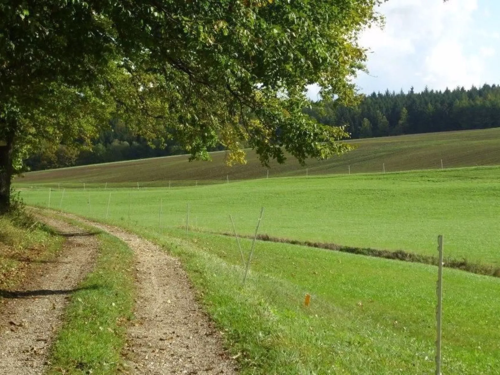 Wohnung in Oberwaldbach mit Garten und Grill-Draußen