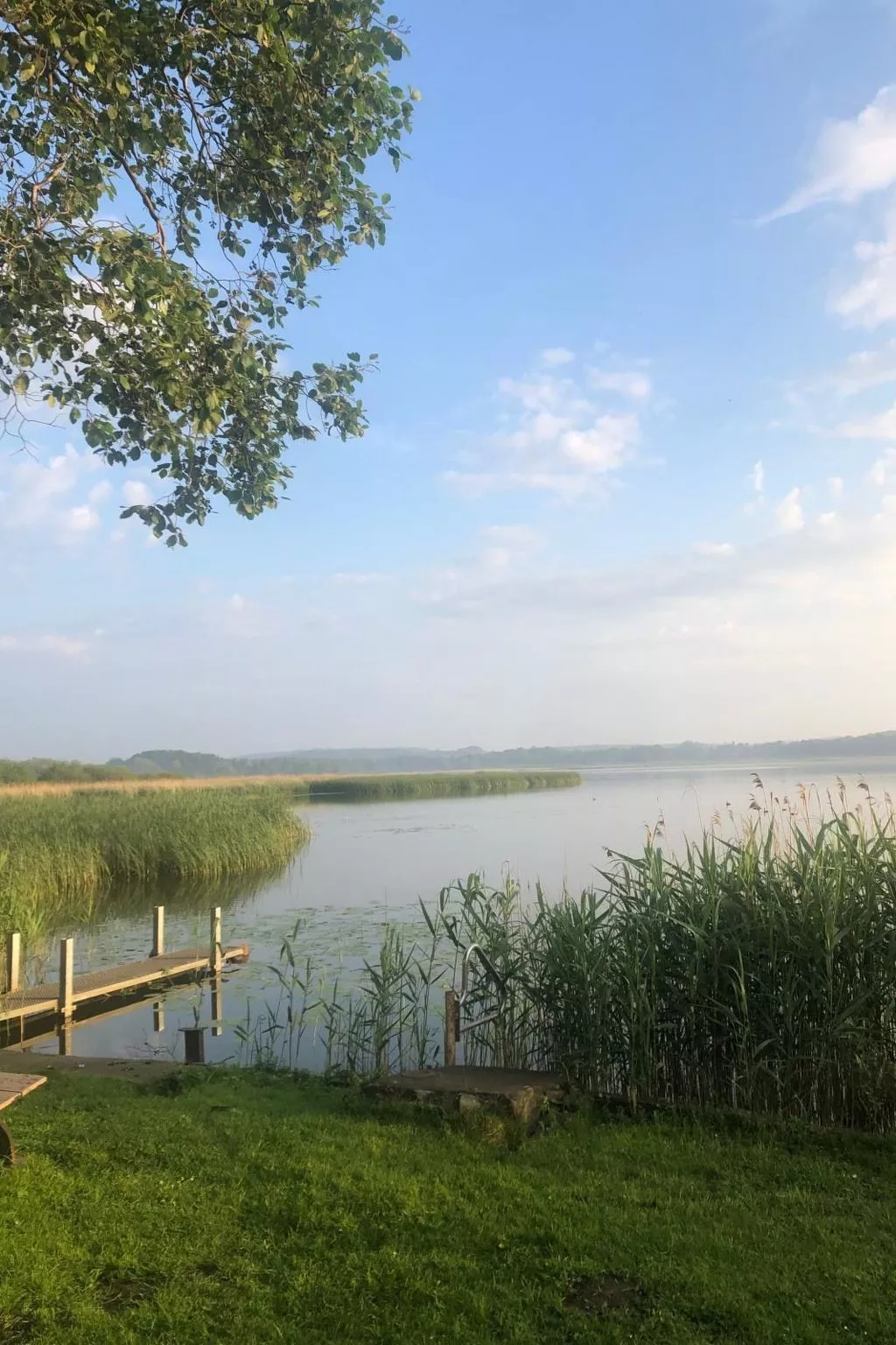 In Dahmen Terrasse und Grill-Draußen