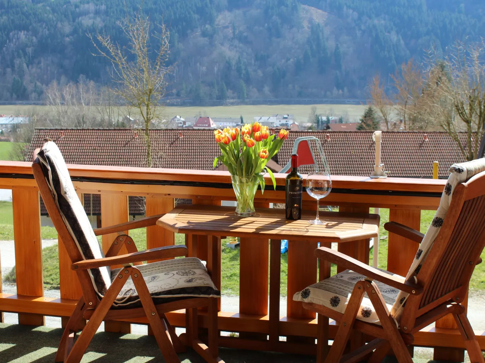 Gemütliche Ferienwohnung mit Blick auf die Donau-Draußen