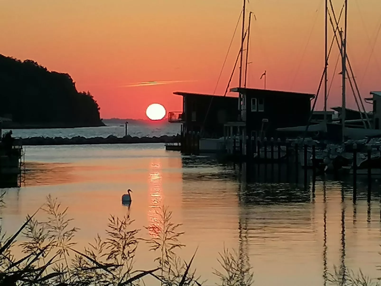 Boddenblick-Vilm-Draußen