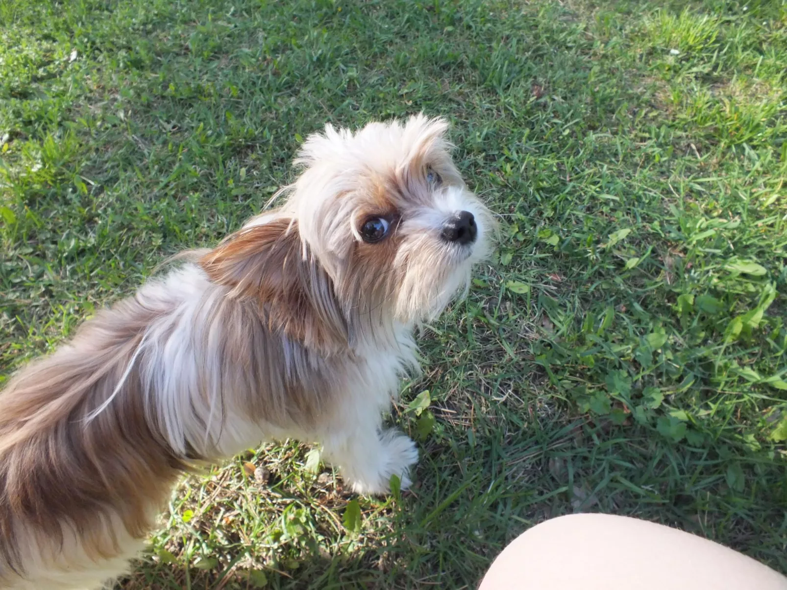 Bungalow Waldidyll-Inside