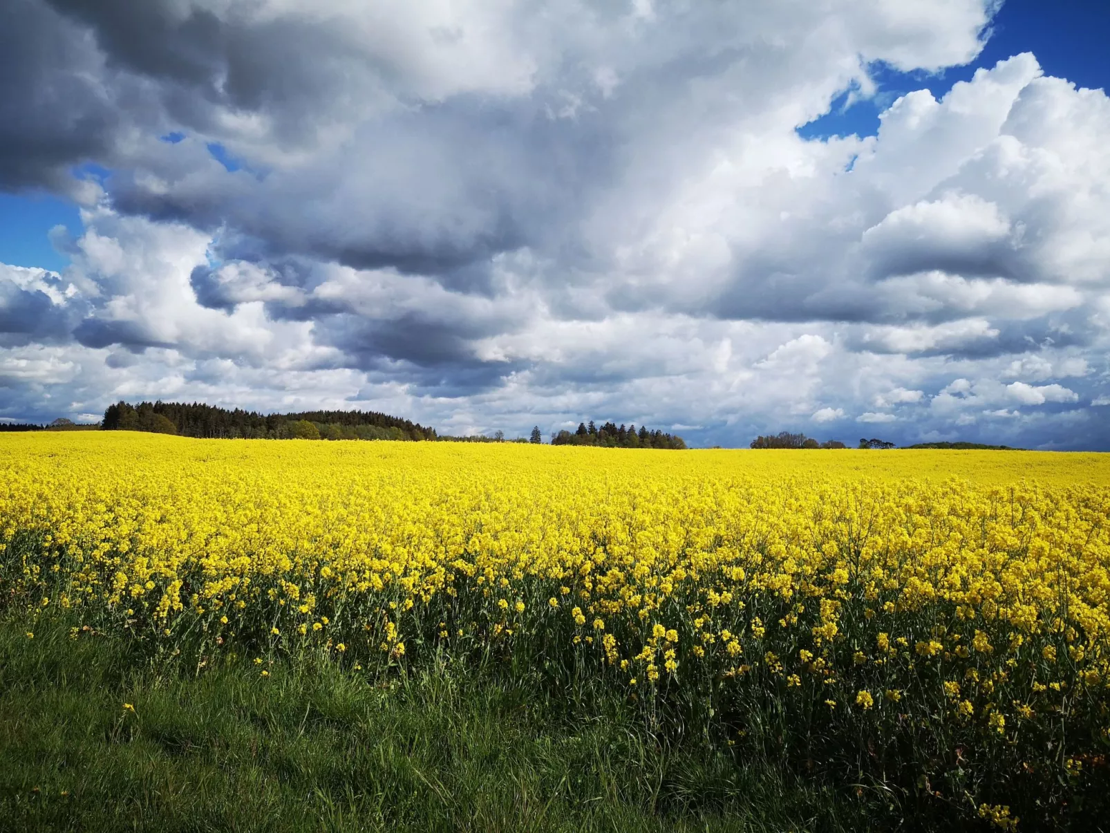 FH Salzhaff-Urlaub-Outside