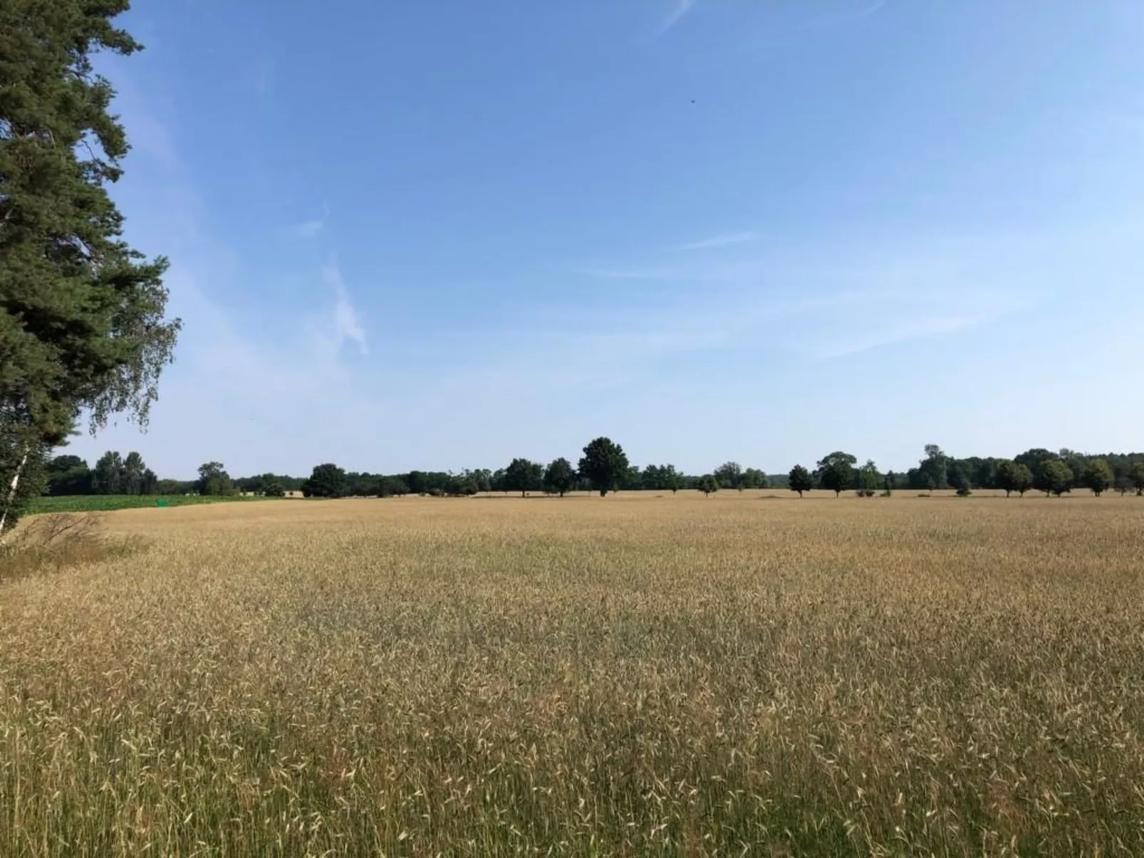 - Uns lütt Hüsung-Image-tags.info