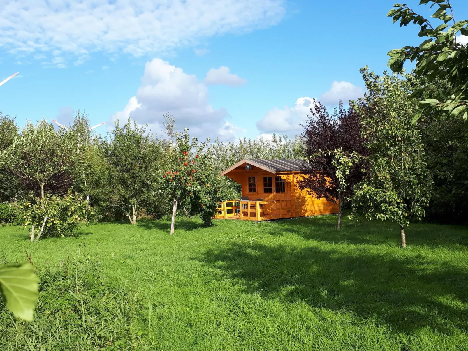 Sonnige Ferienwohnung in ländlicher Umgebung-Outside