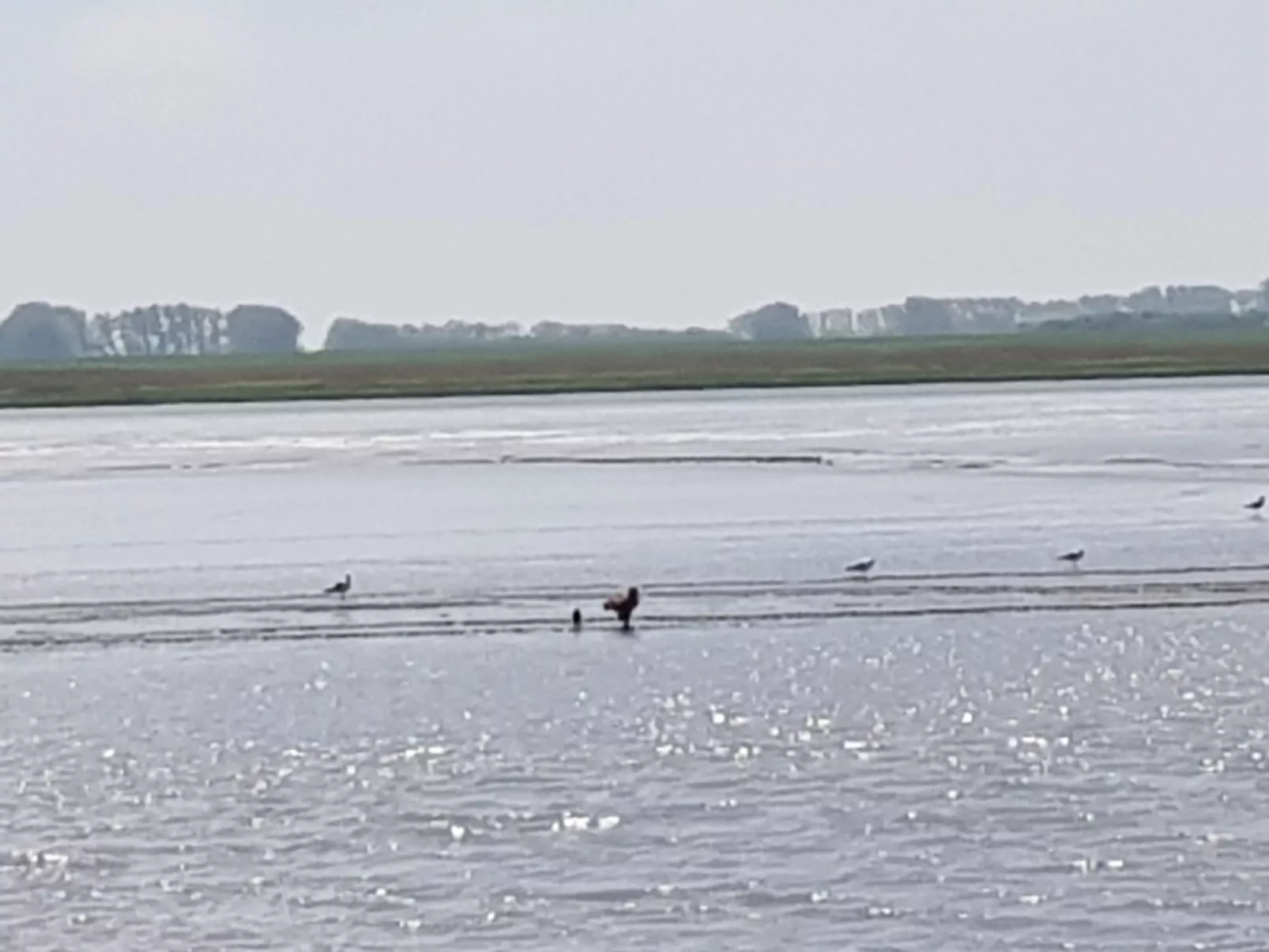 Beim Bracksee-Draußen