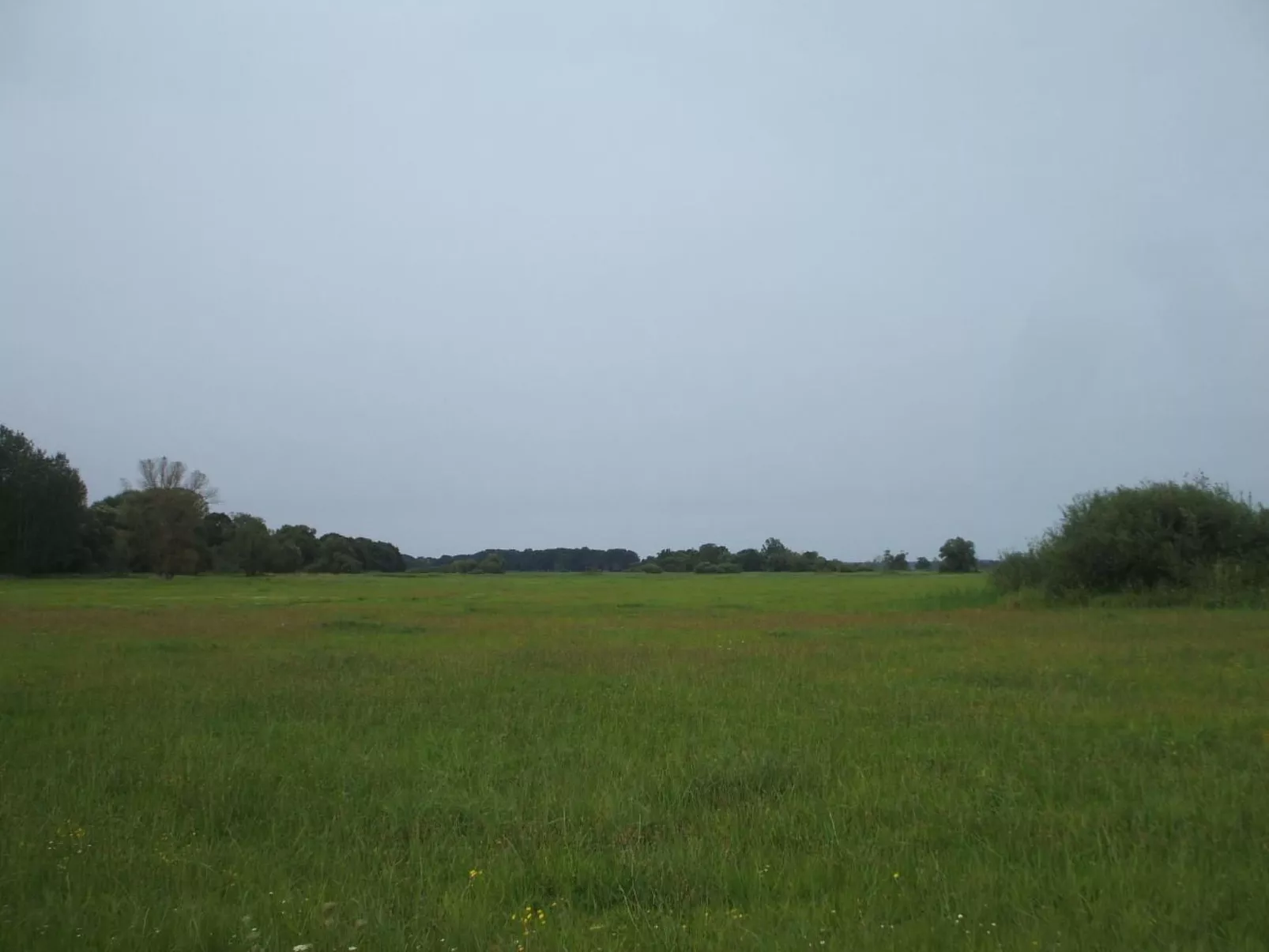 Oderhäuschen-Image-tags.info