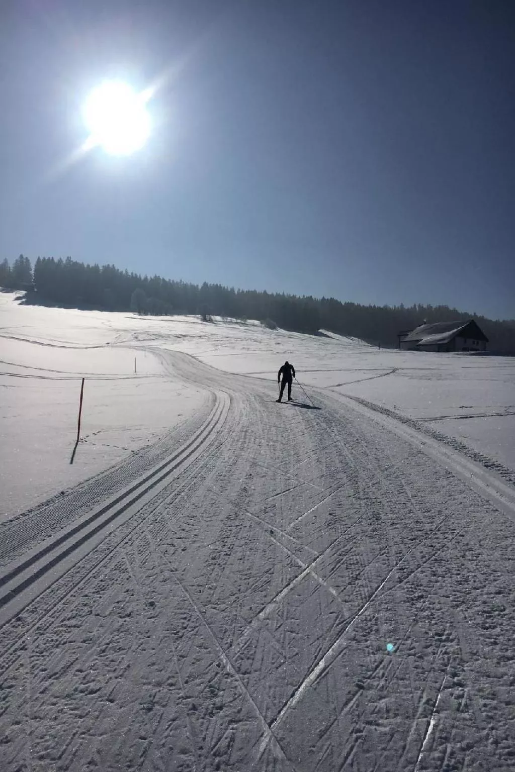 Wohnung in altem, renoviertem Bauernhaus-Draußen
