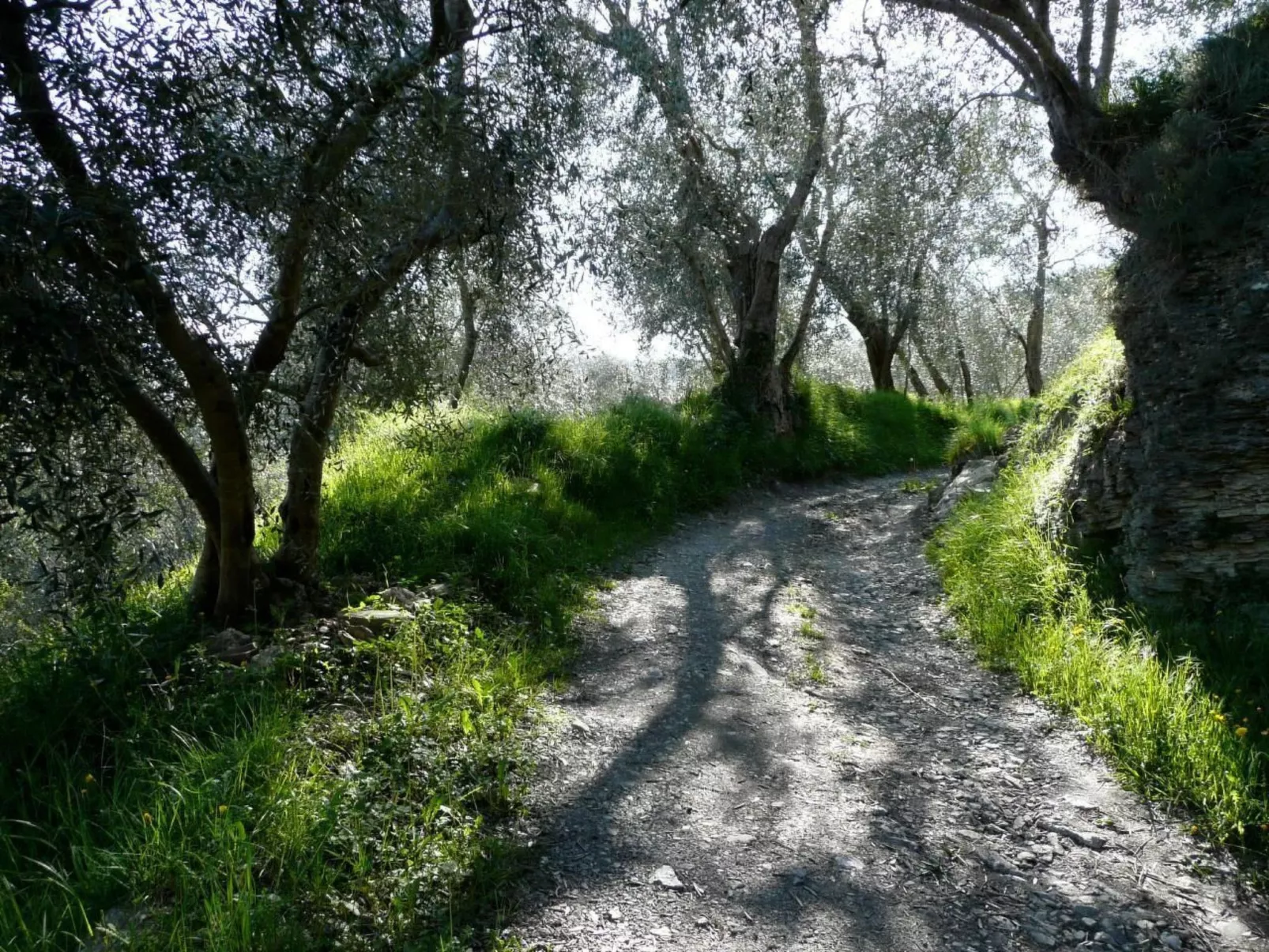 CASA SISSI, Sehnsuchtsort zwischen Olivenhainen-Outside