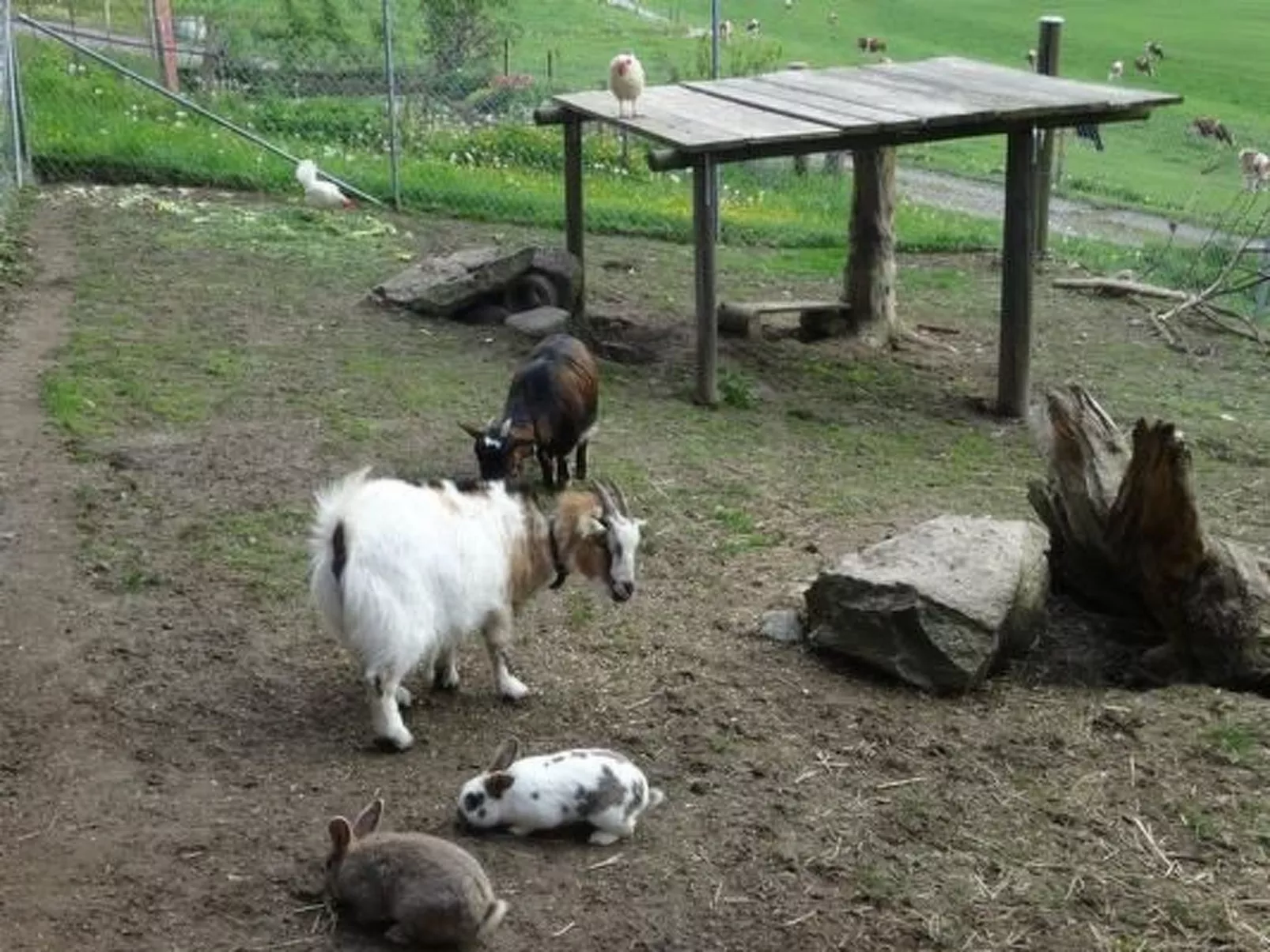 Hof Schürweid - Outside