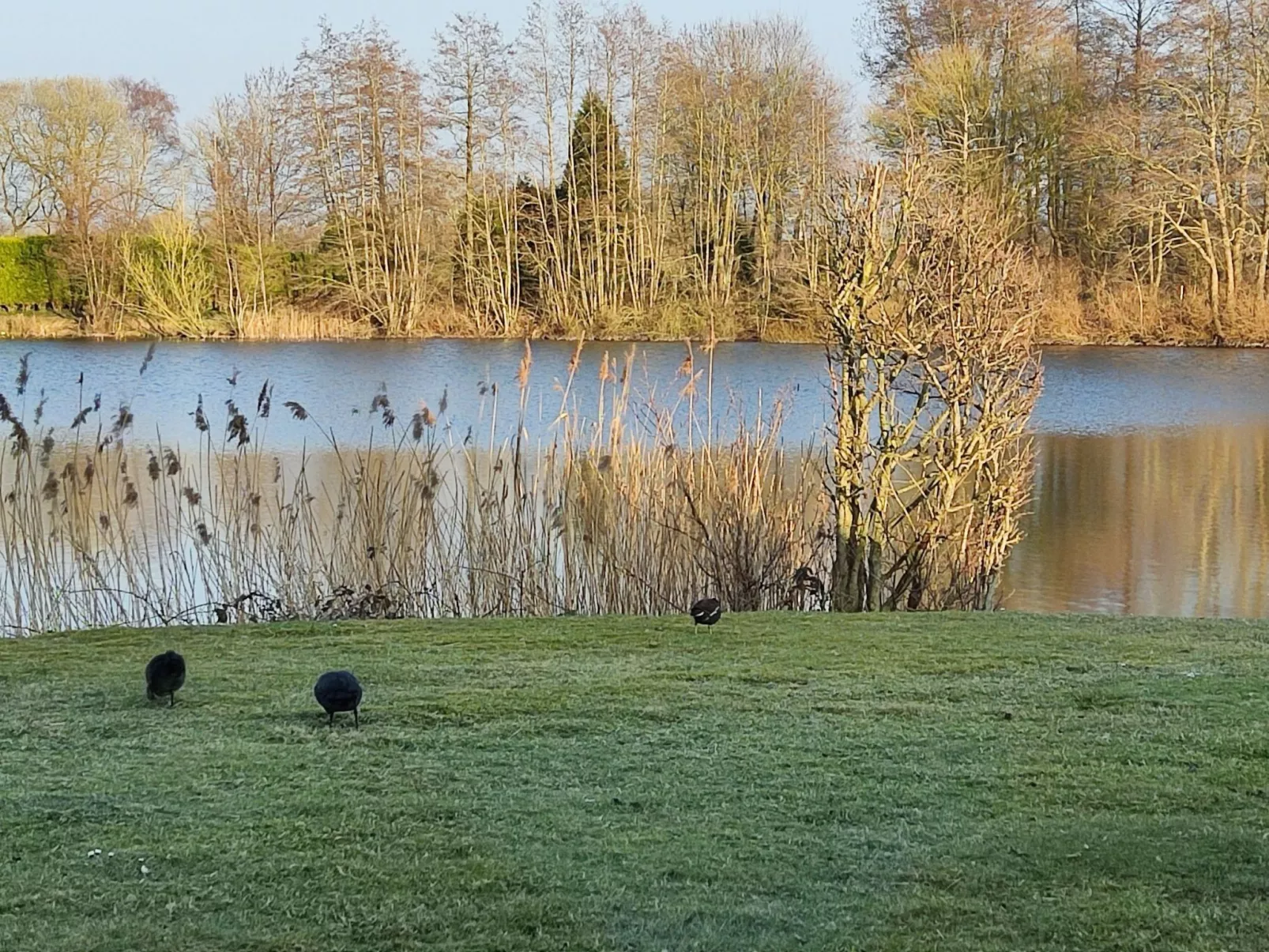 Landromantik mit traumhaftem Seeblick-Outside