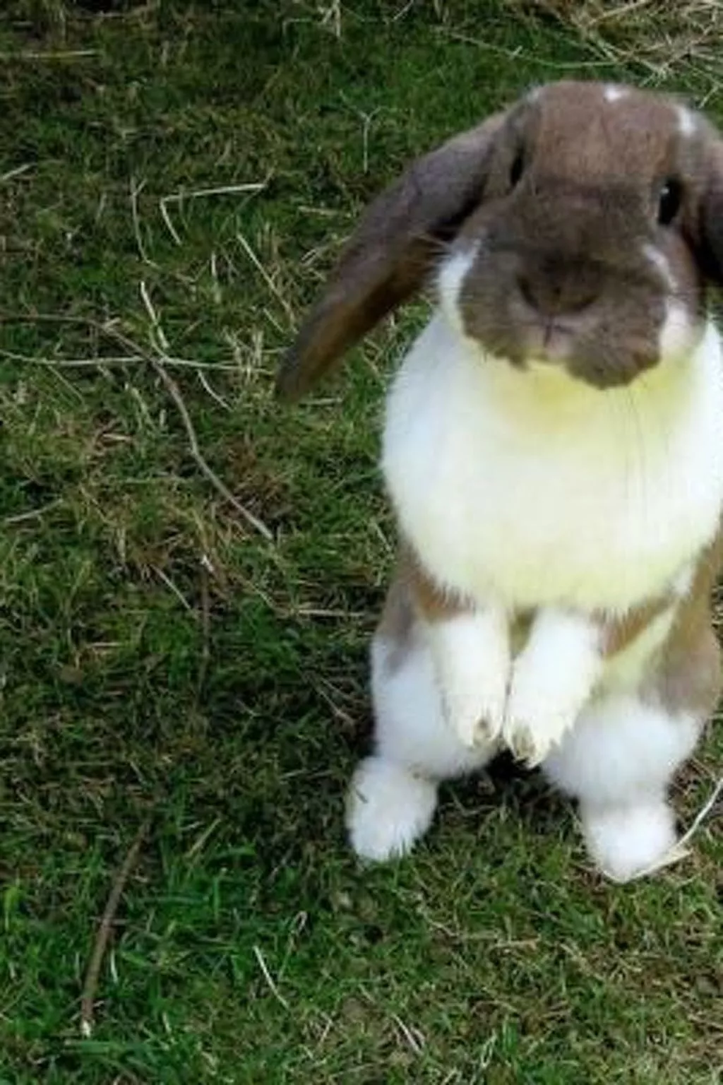 Bauernhaus Bleiche-Drinnen