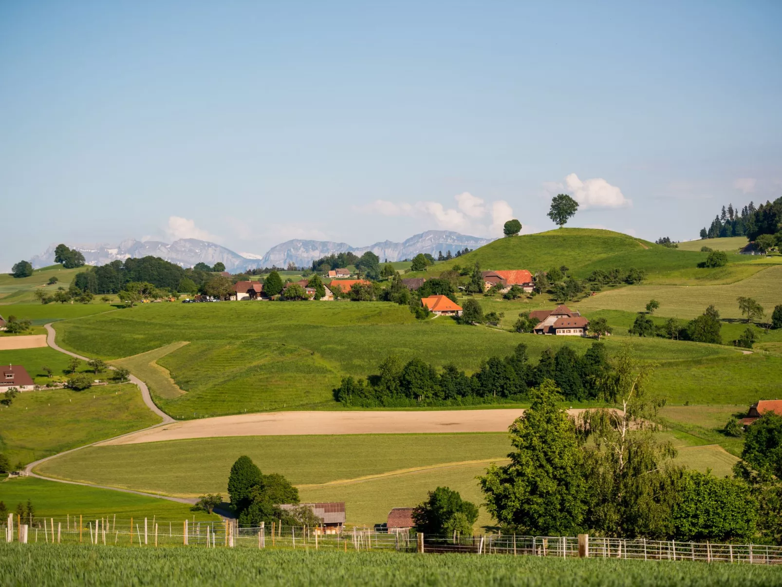 Lamahof Tschäppel-Outside