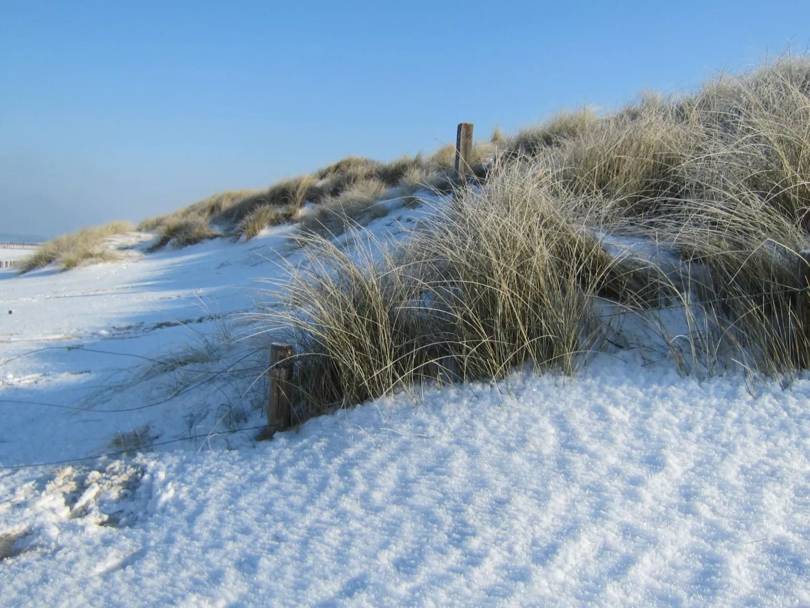 Gemütliches Haus mit komplett umzäuntem Garten-Outside